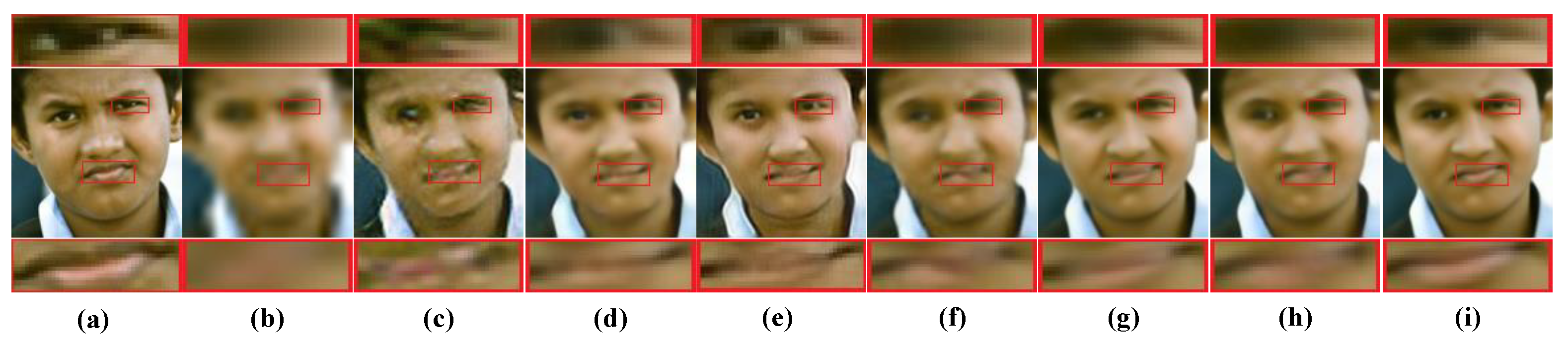 Symmetry 16 00511 g001
