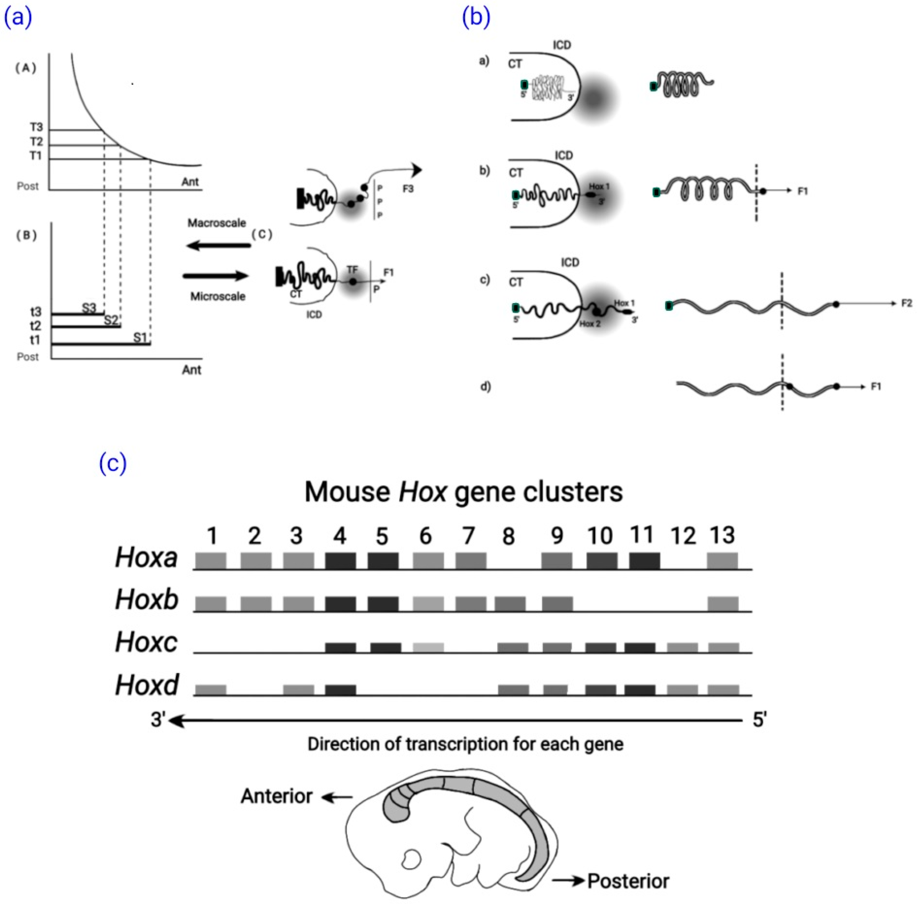 Symmetry 16 00594 g001 Symmetry 16 00594 g001