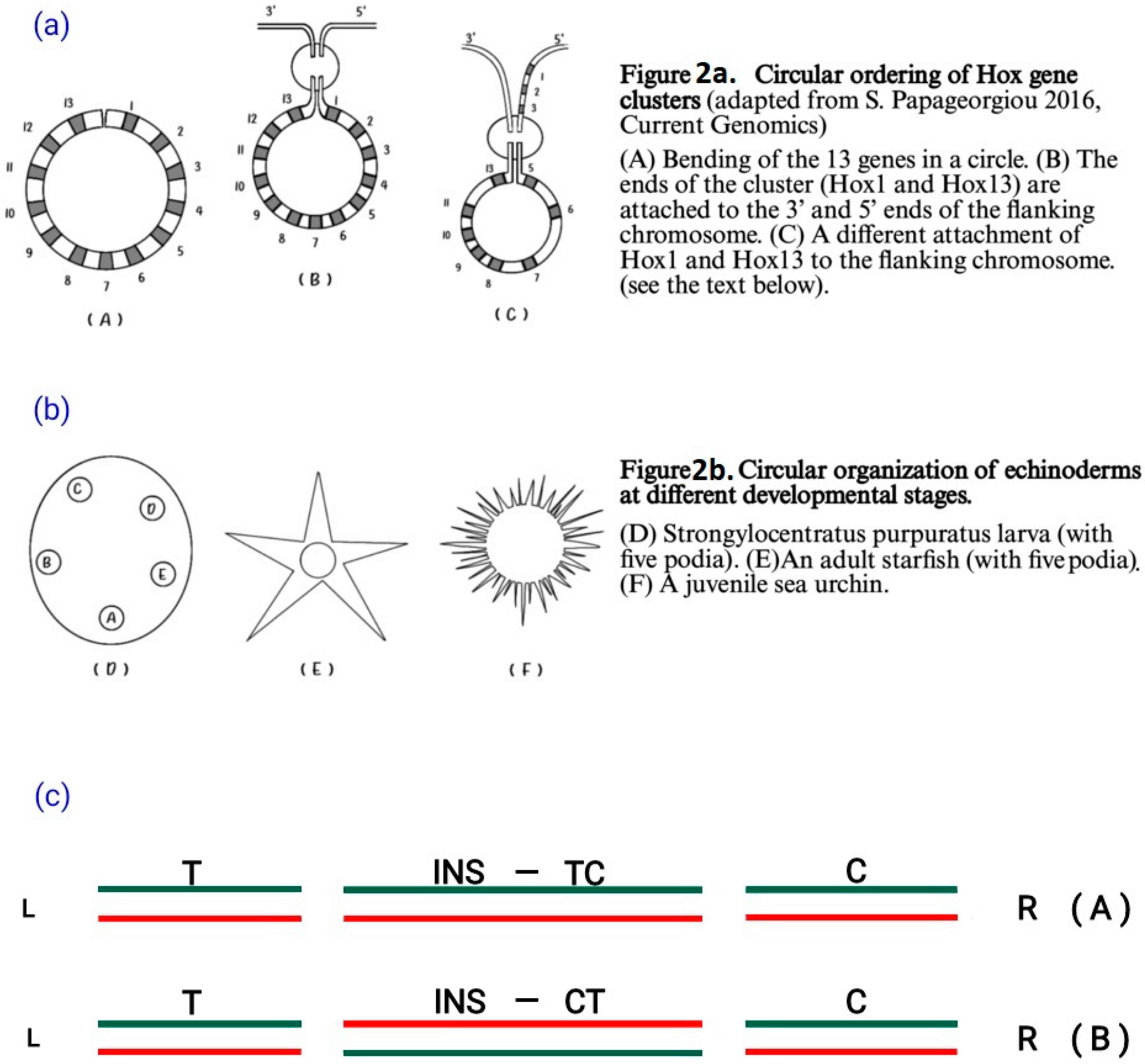 Symmetry 16 00594 g002 Symmetry 16 00594 g002