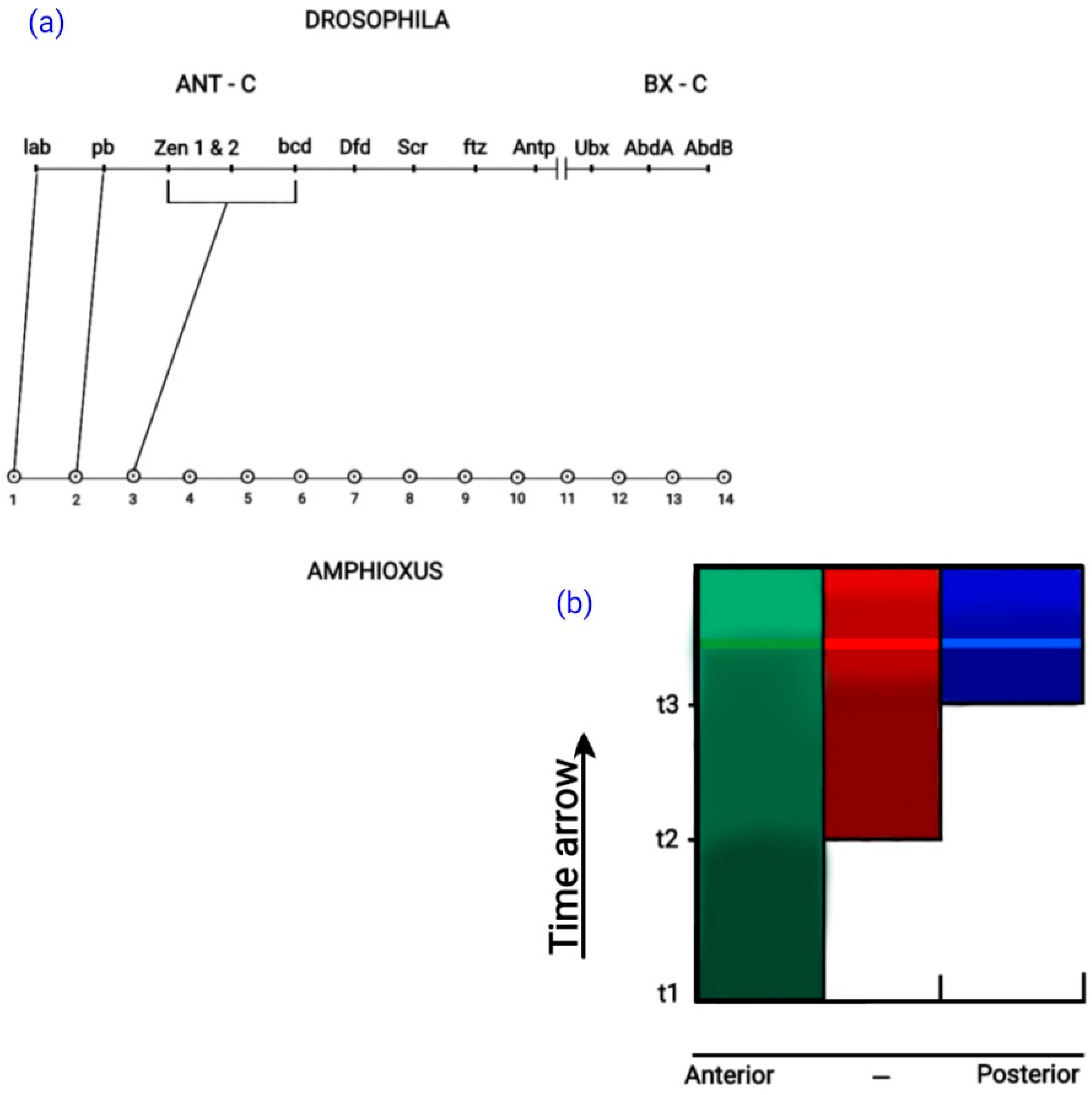 Symmetry 16 00594 g003 Symmetry 16 00594 g003