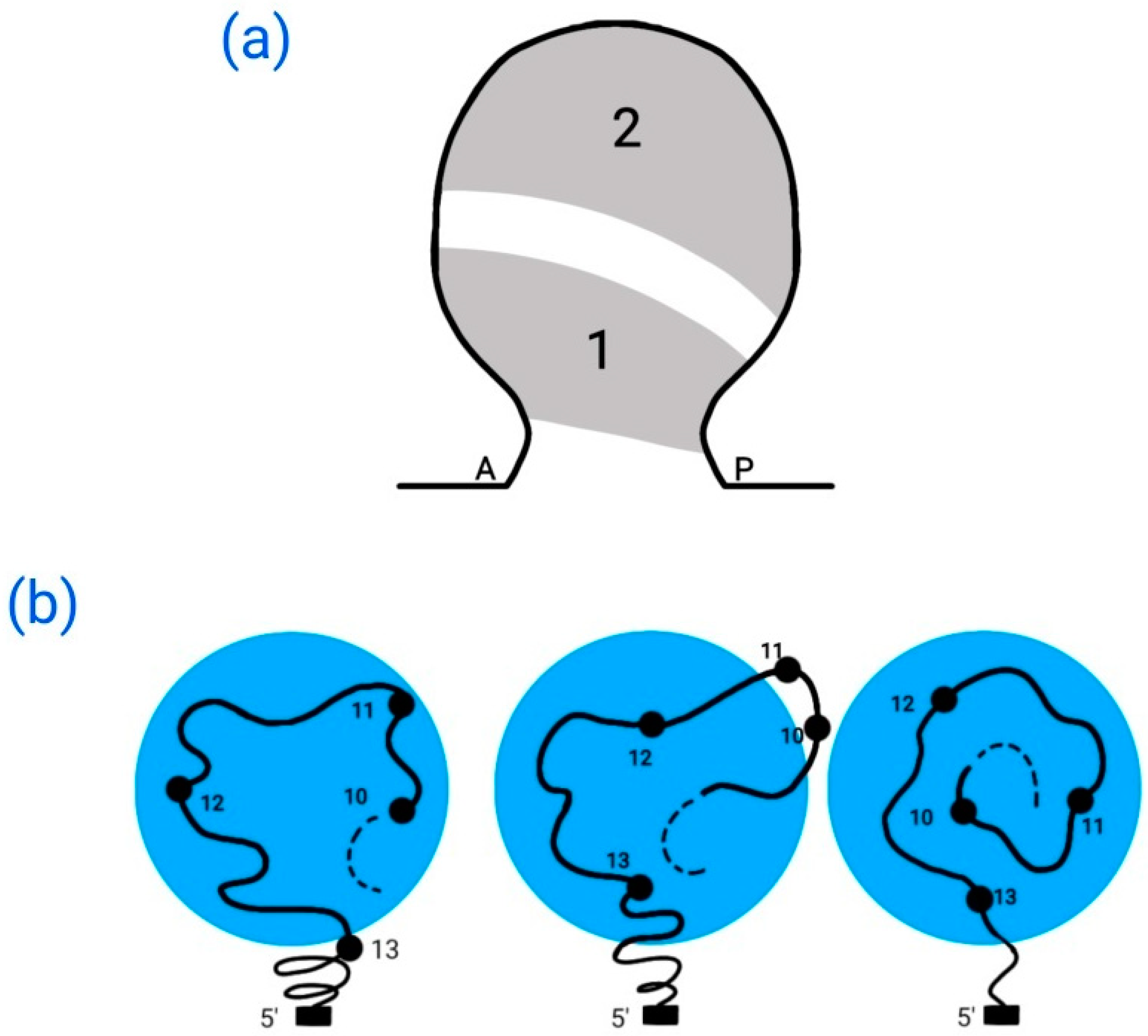 Symmetry 16 00594 g004 Symmetry 16 00594 g004