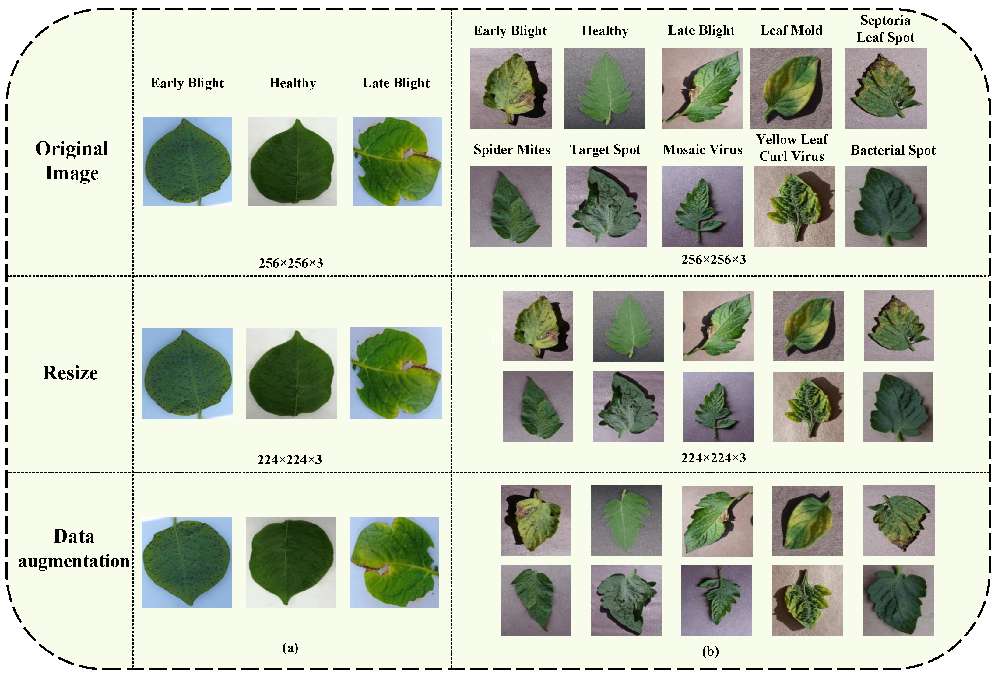 Symmetry 16 00652 g001