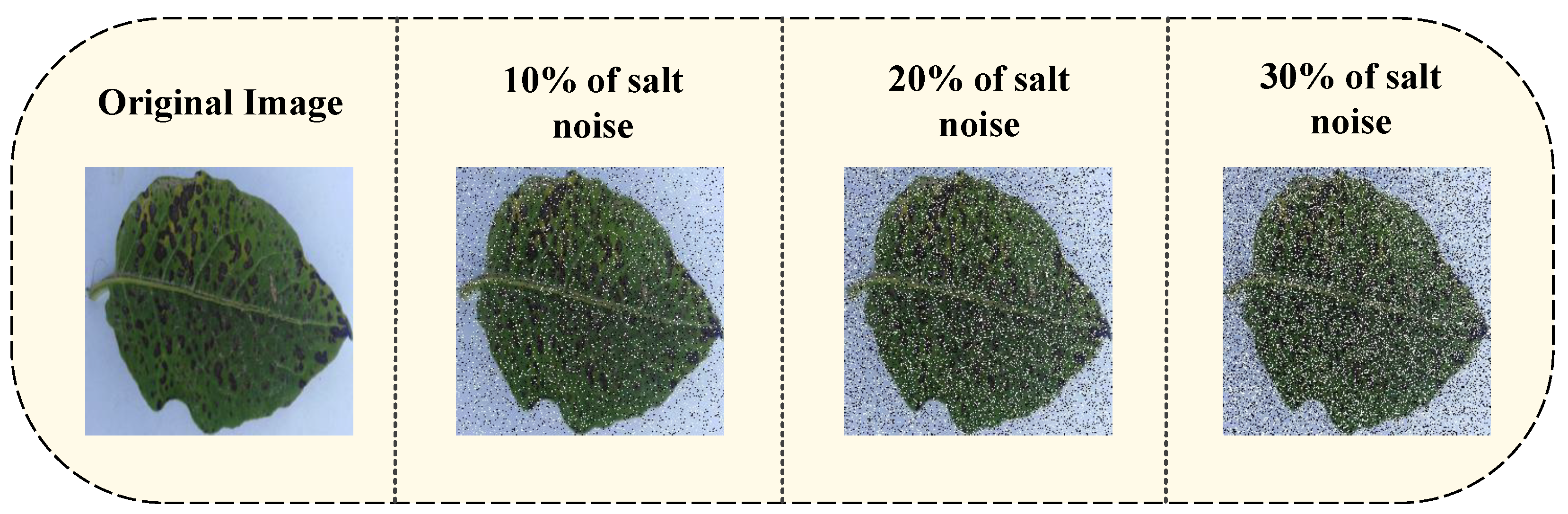Symmetry 16 00652 g003