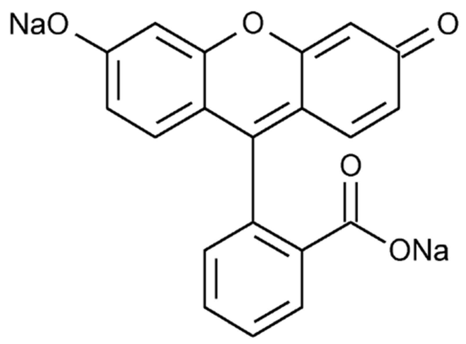 Symmetry 16 00673 sch001