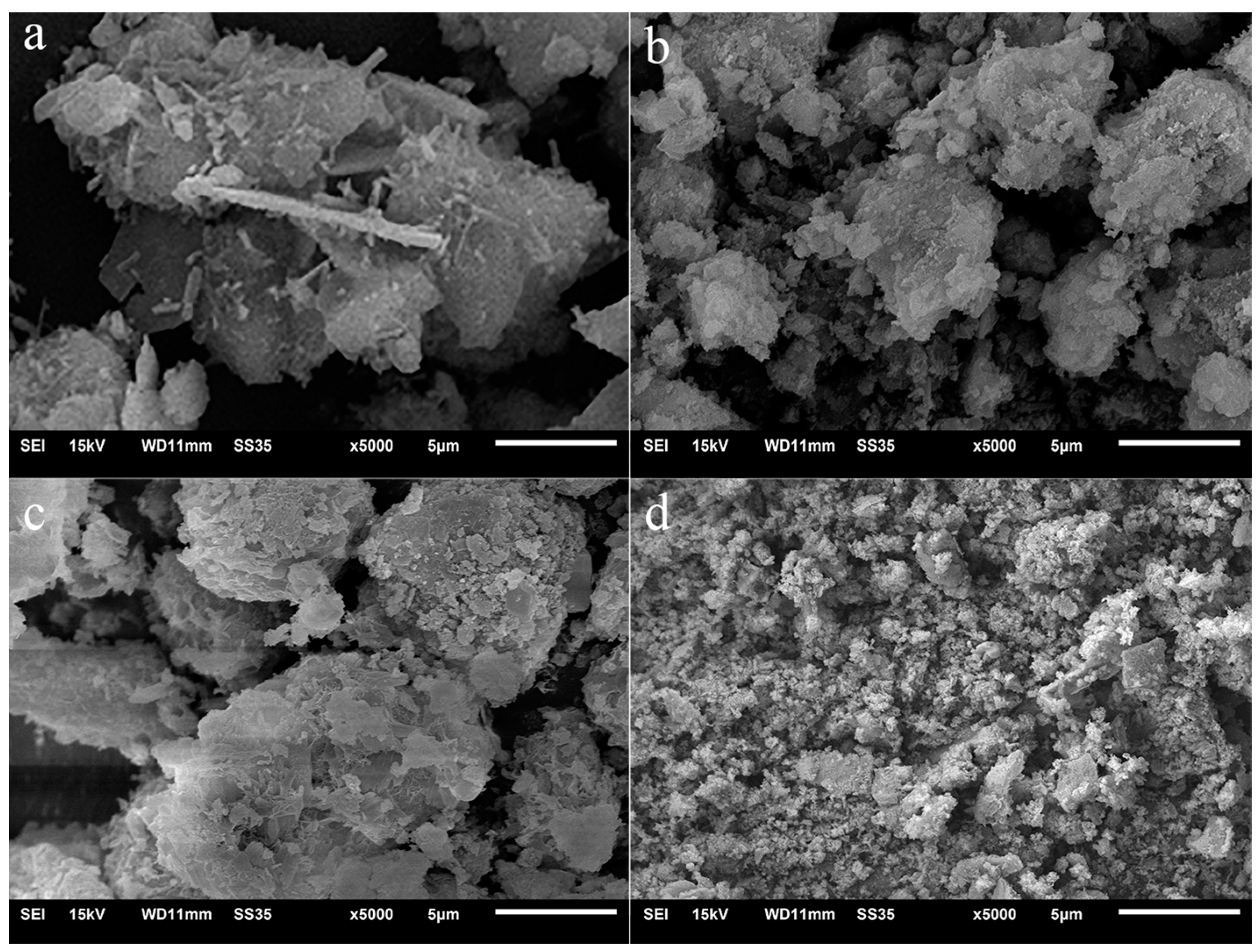 Symmetry 16 00703 g002