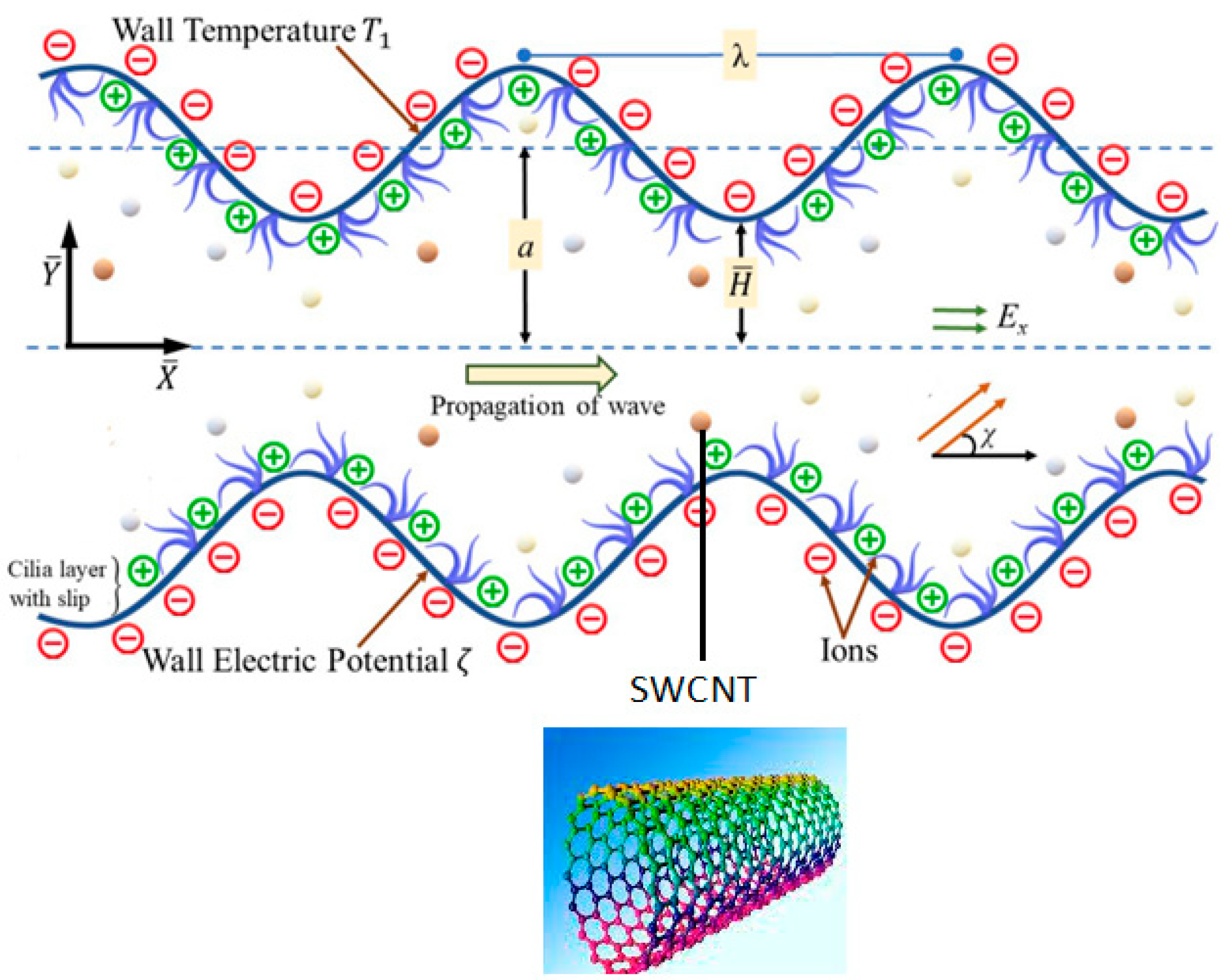 Symmetry 16 00717 g001