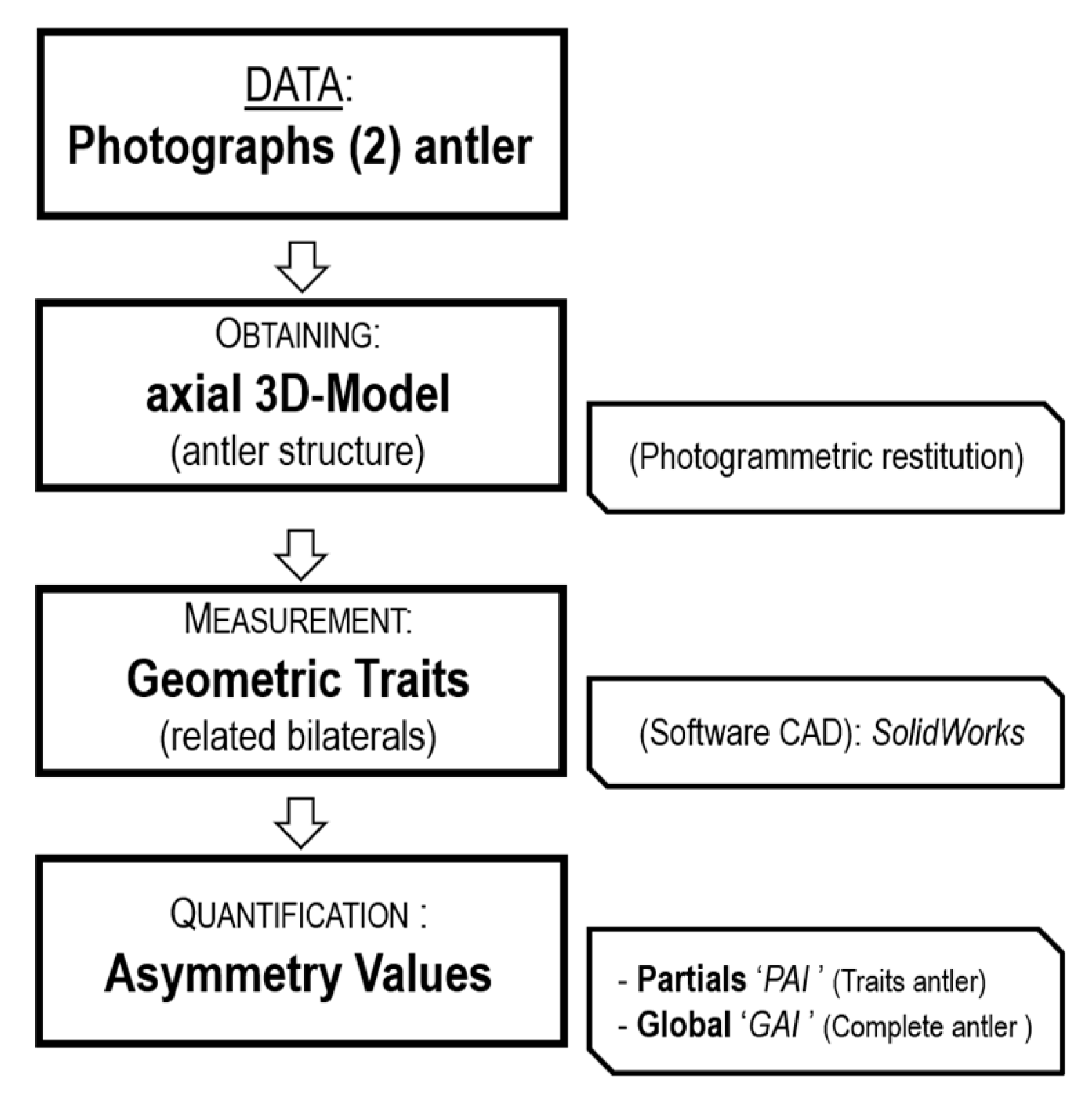 Symmetry 16 00785 g004