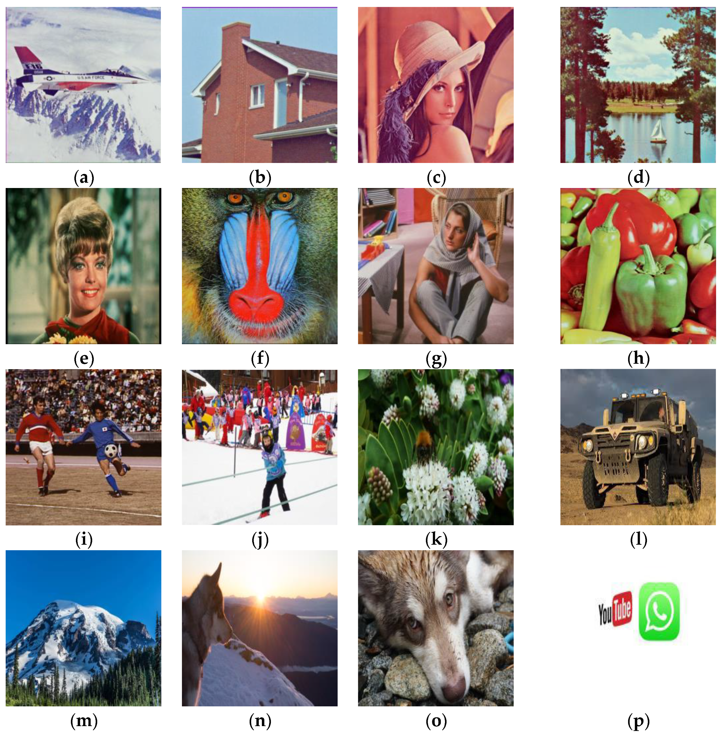 Symmetry 16 00877 g004