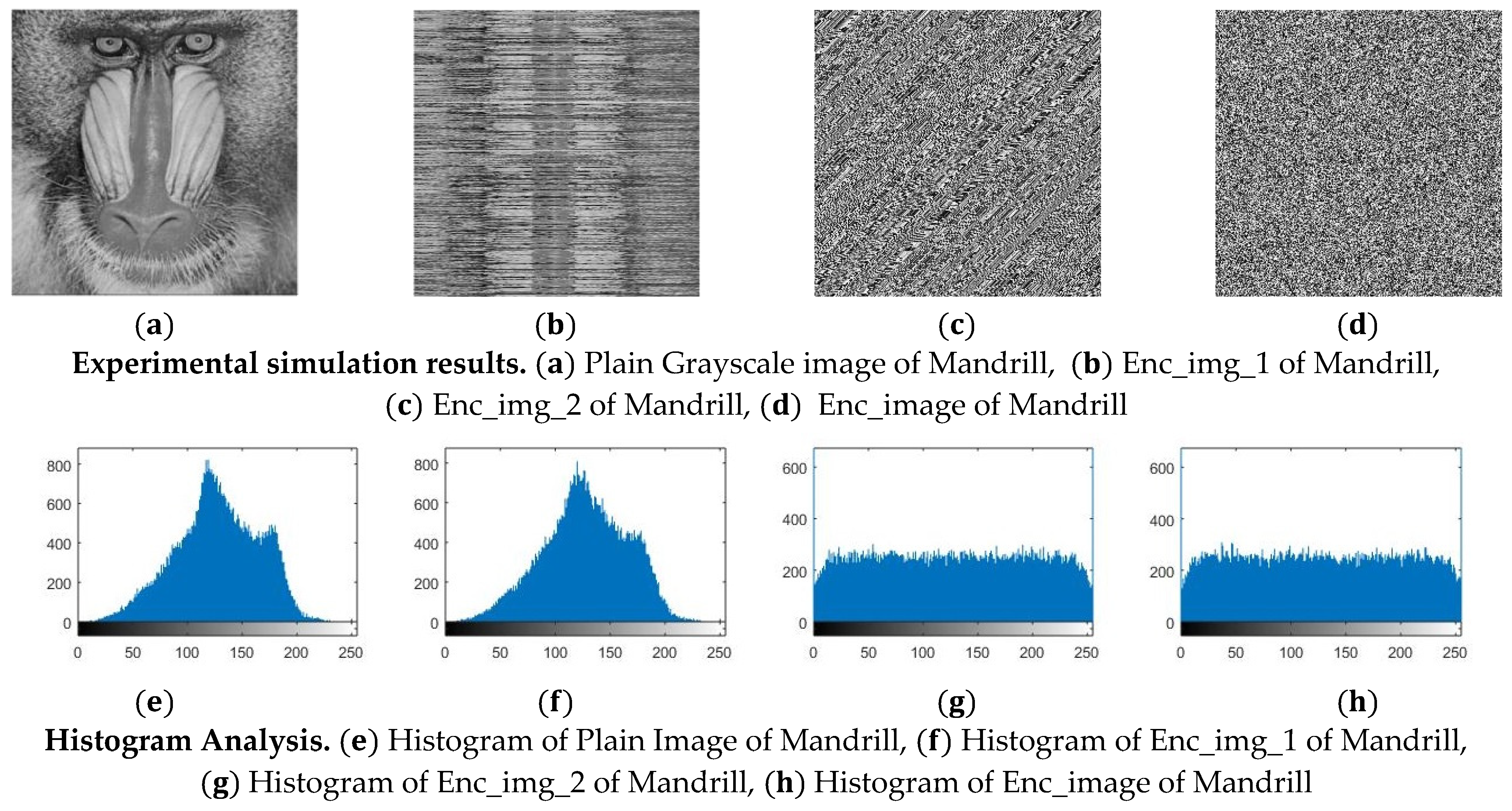 Symmetry 16 00954 g003