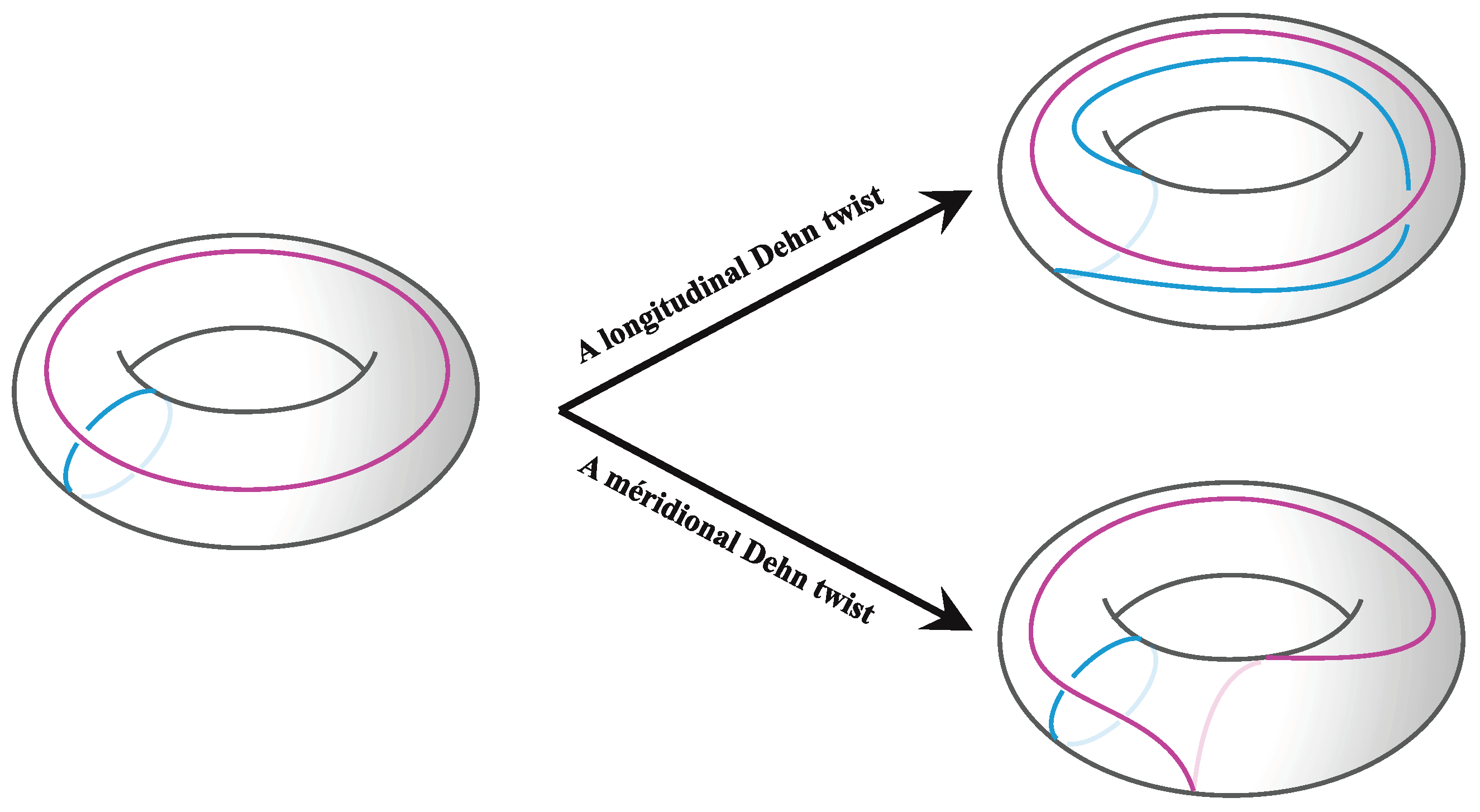 Symmetry 16 00968 g004