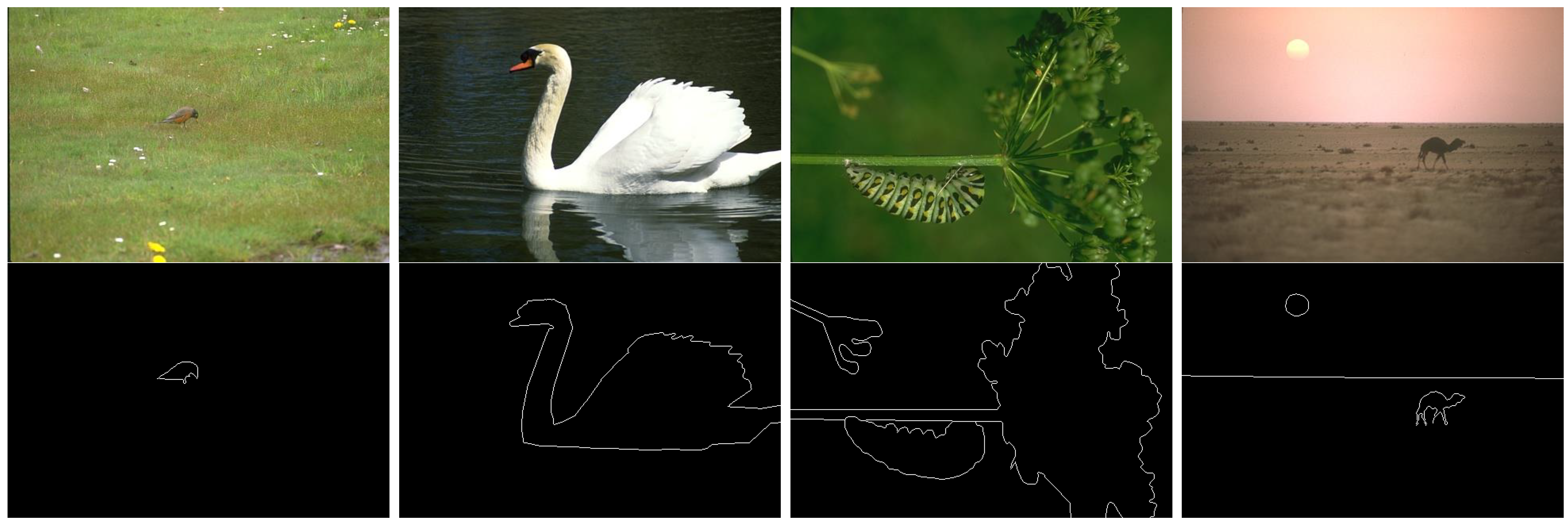 Symmetry 16 01011 g004