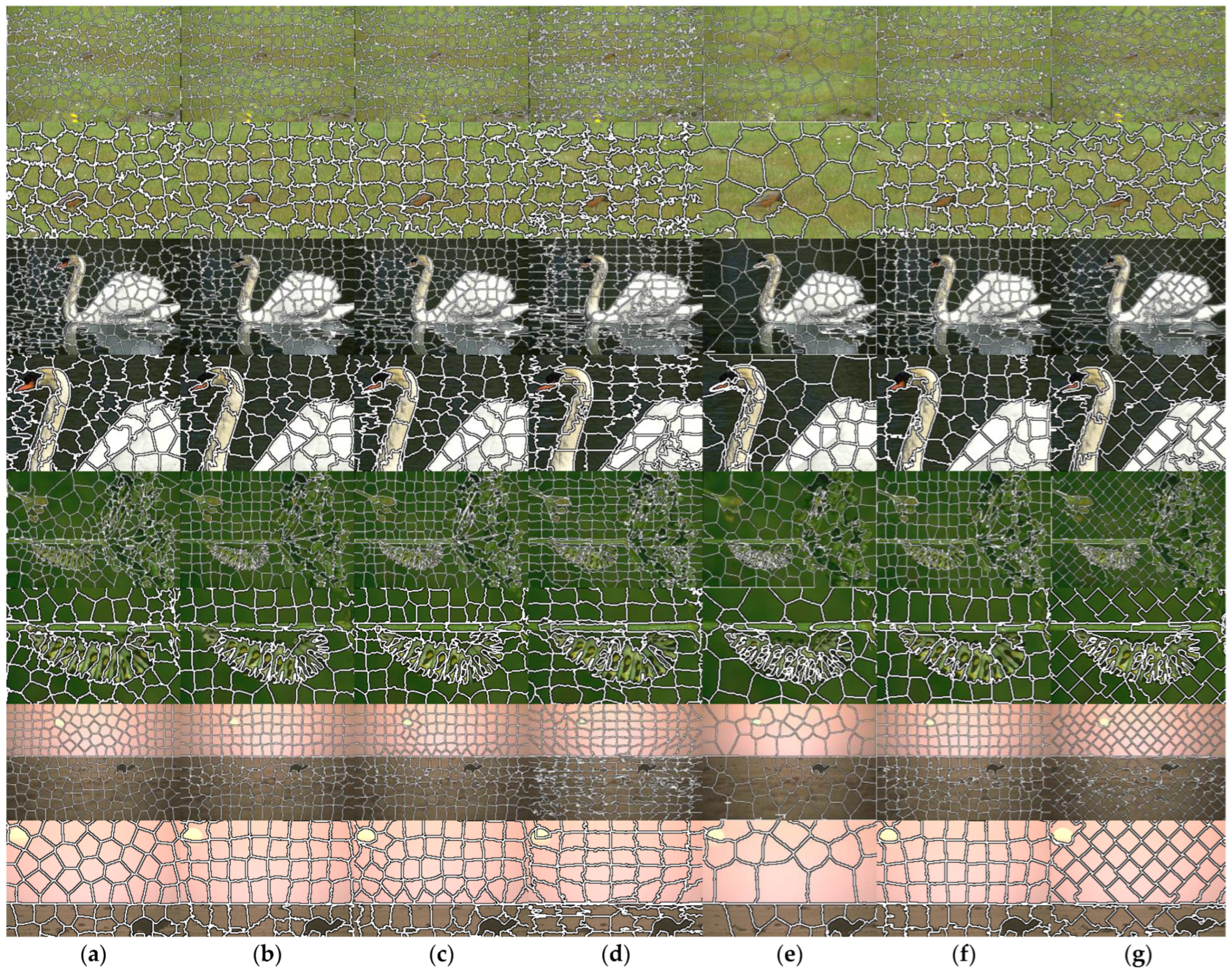 Symmetry 16 01011 g005