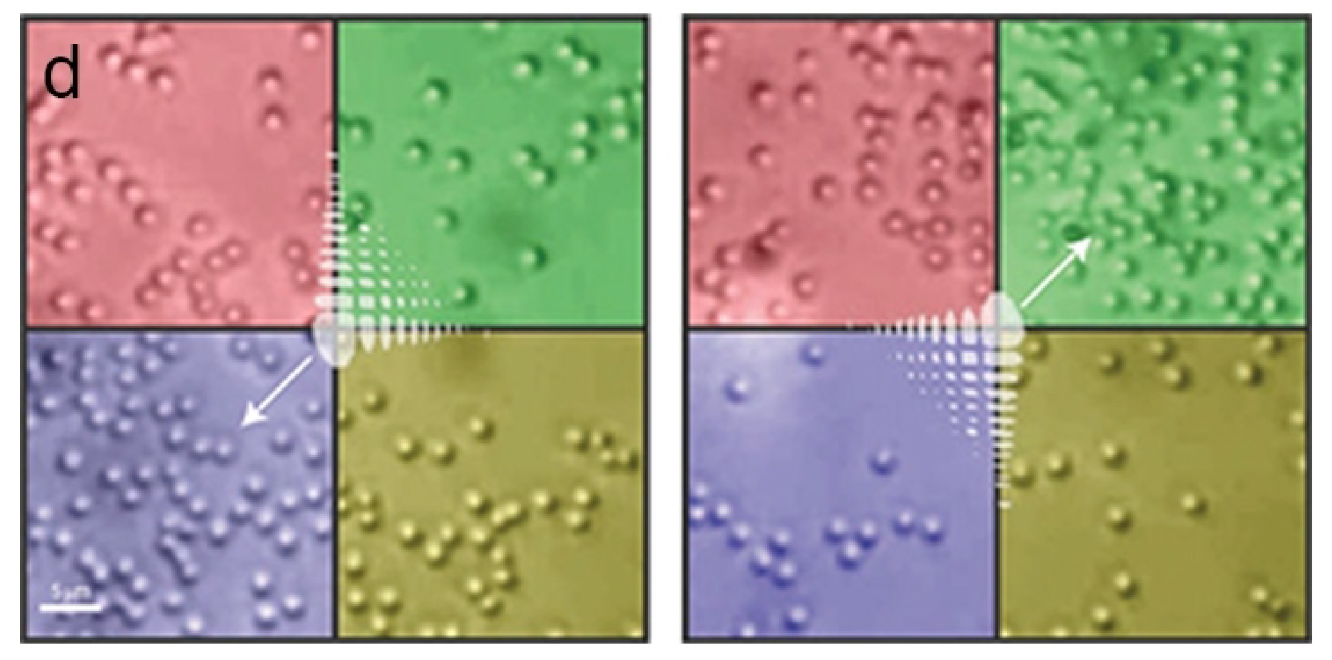 Symmetry 16 01053 g003b