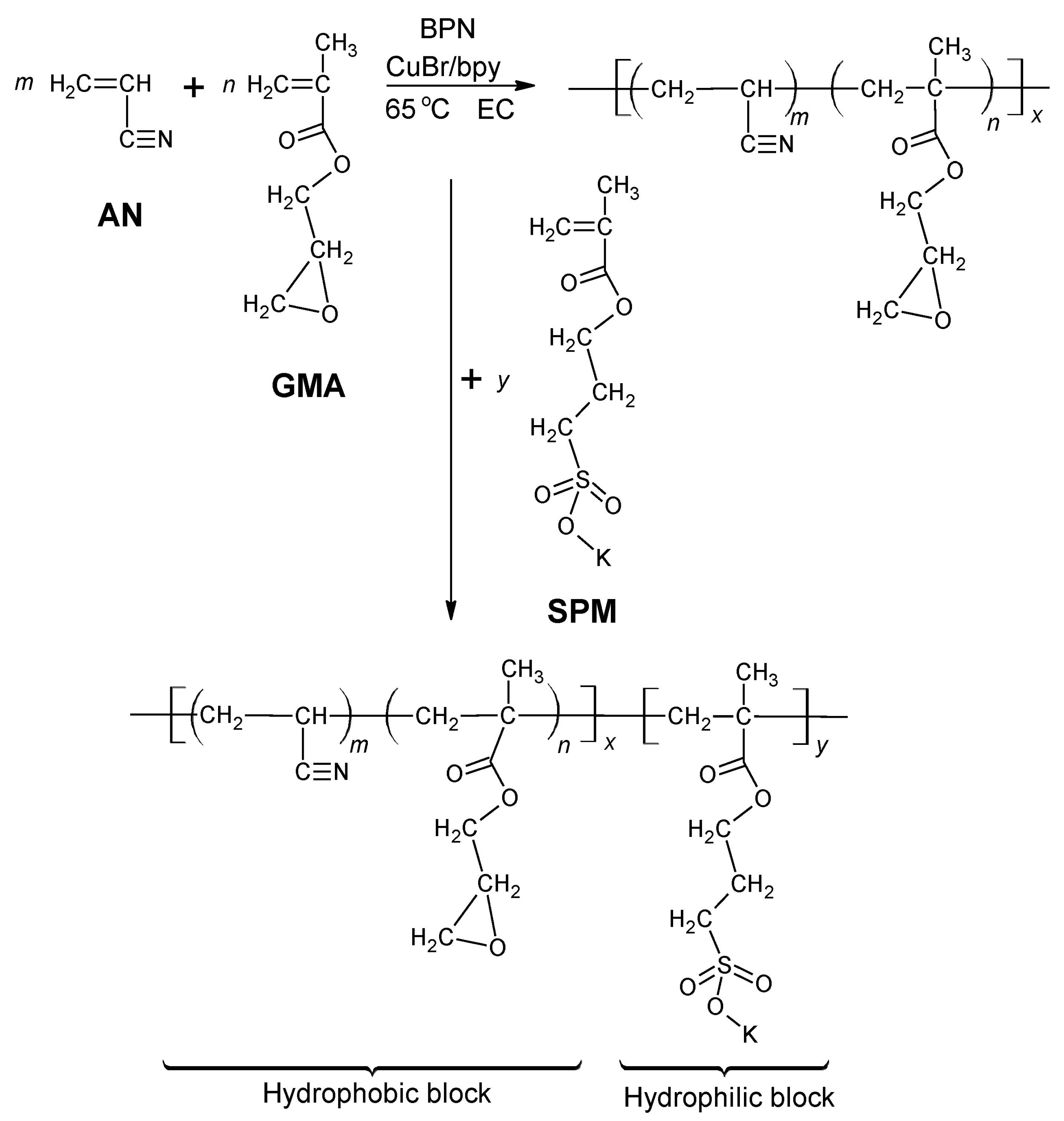 Symmetry 16 01079 g034