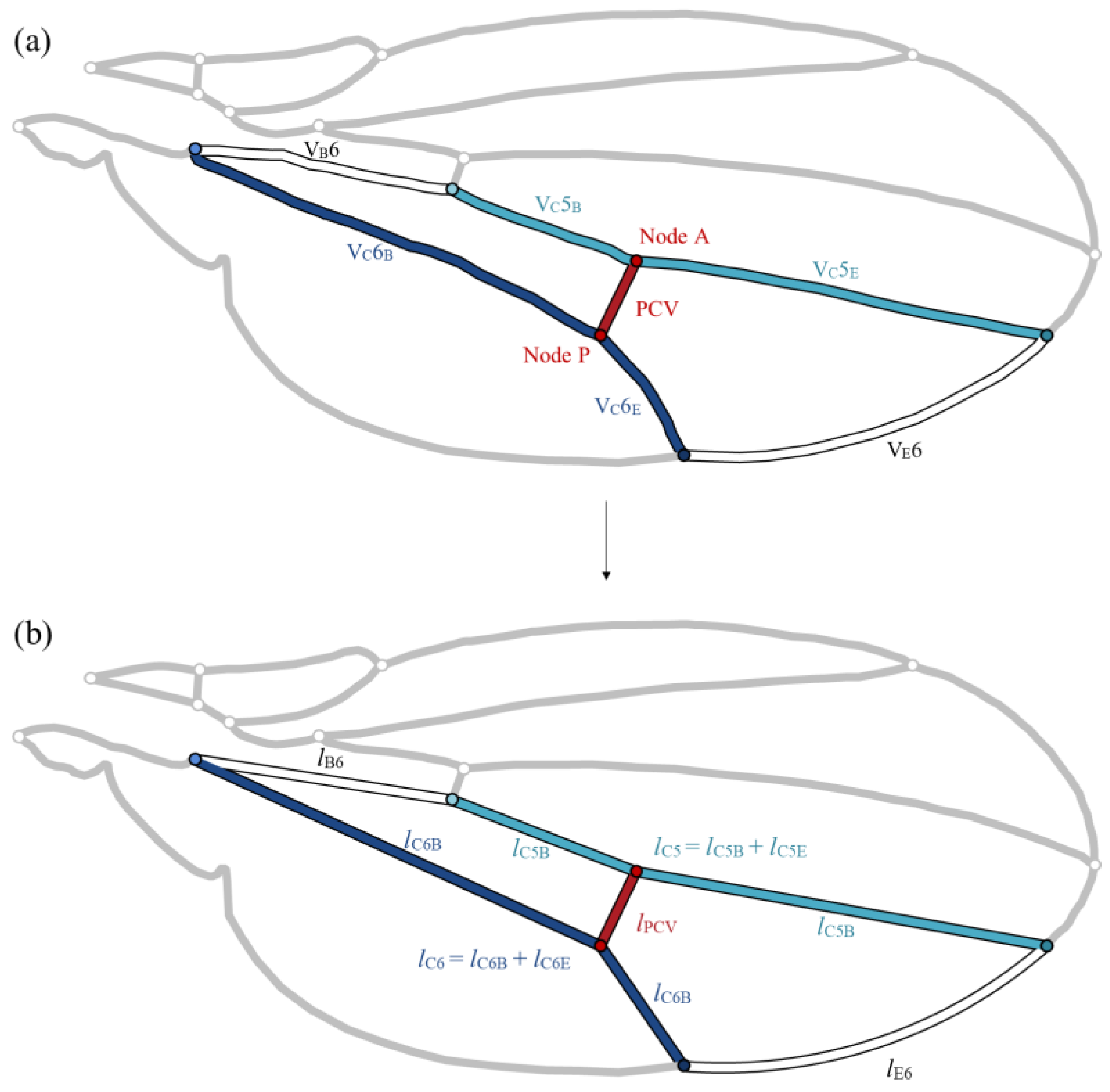 Symmetry 16 01212 g002