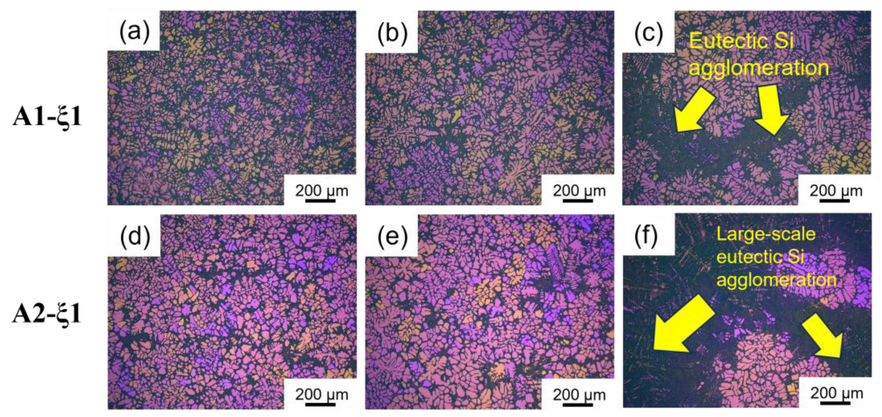 Symmetry 16 01213 g007