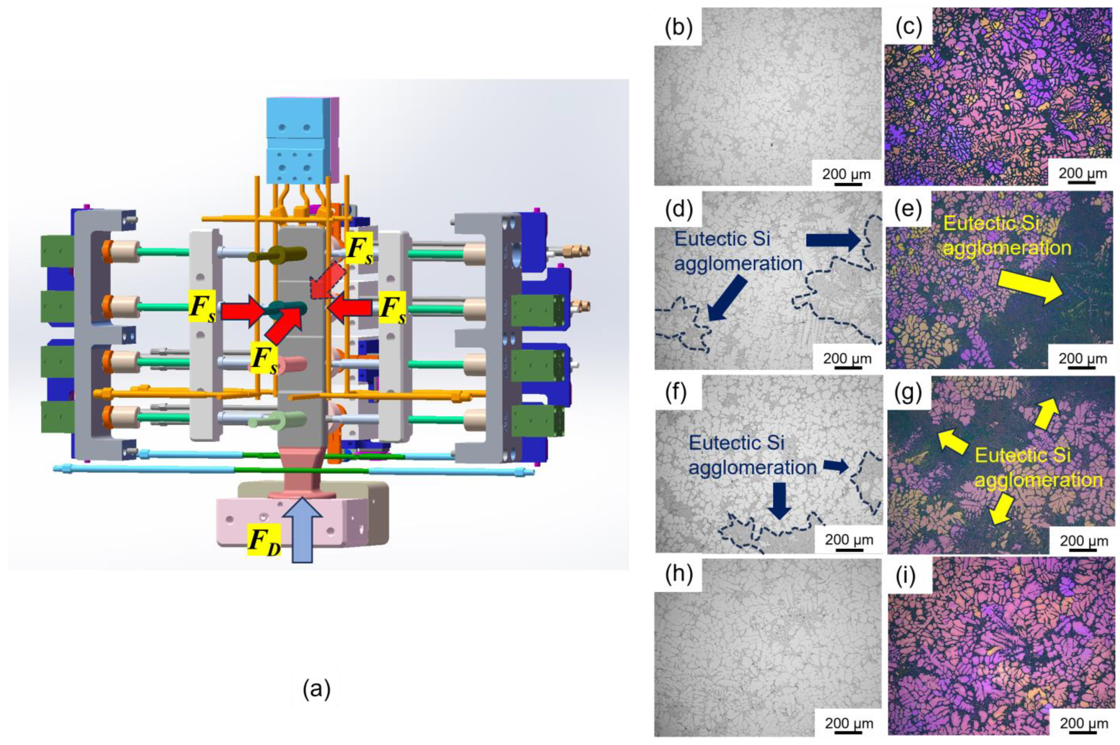 Symmetry 16 01213 g008