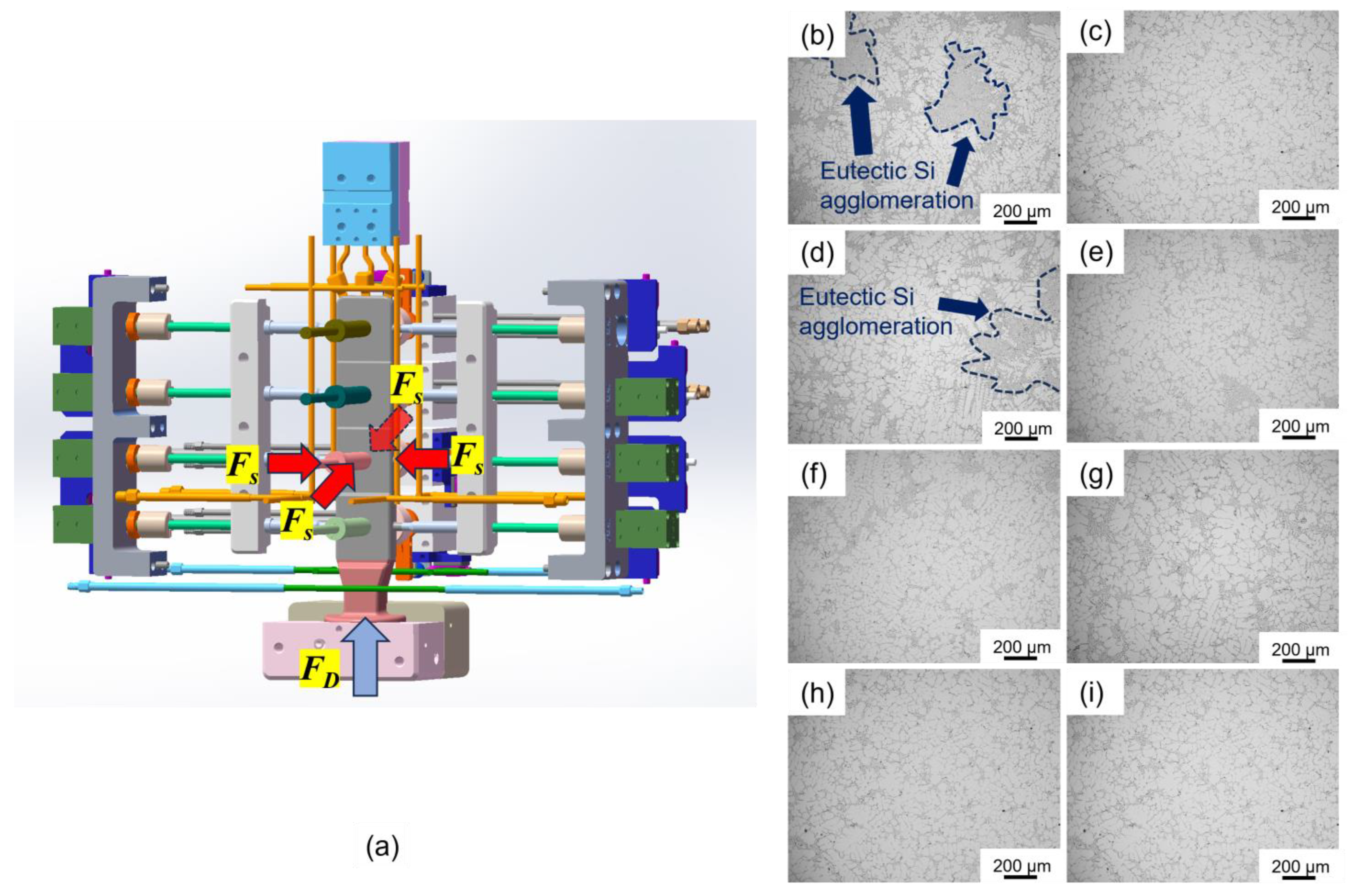 Symmetry 16 01213 g010