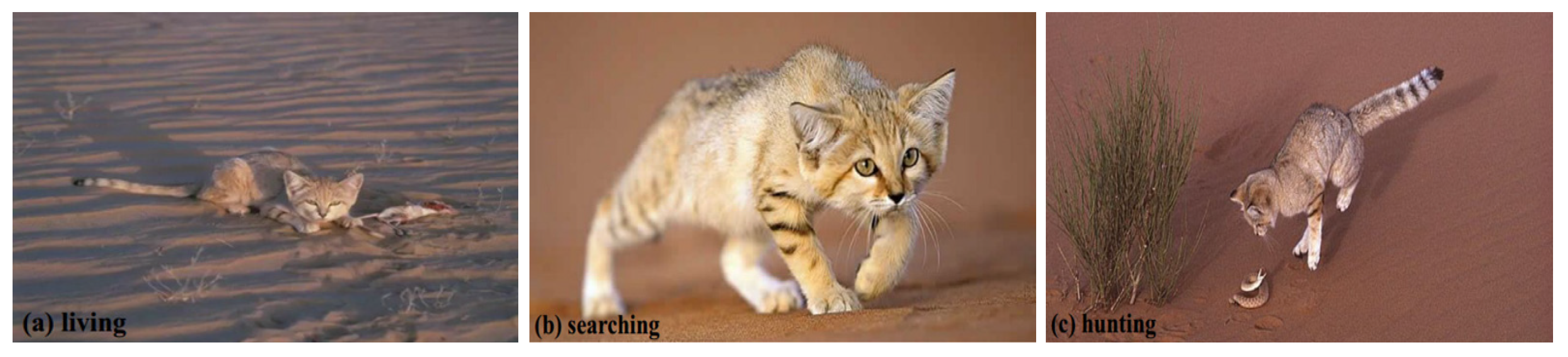 Symmetry 16 01255 g001