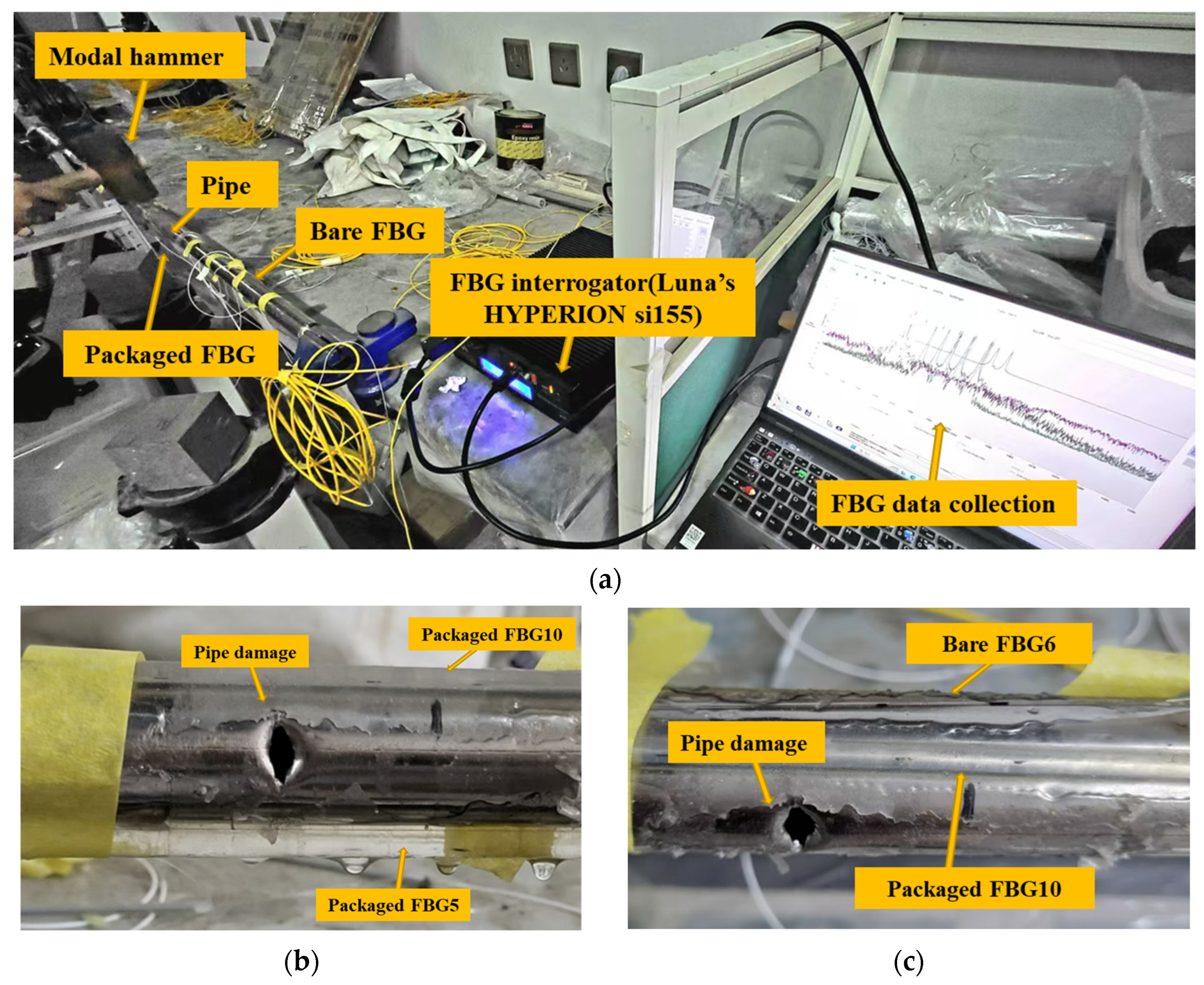 Symmetry 16 01302 g004