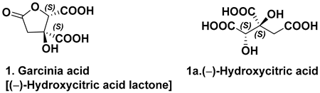 Symmetry 16 01331 i001 Symmetry 16 01331 i001