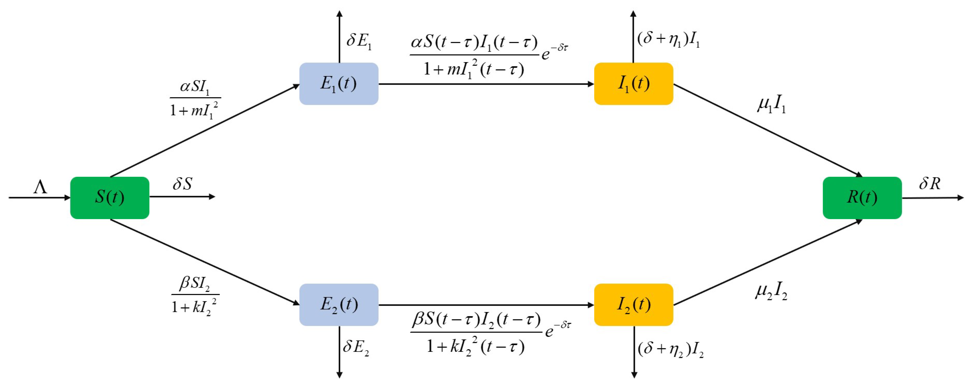 Symmetry 16 01343 g001