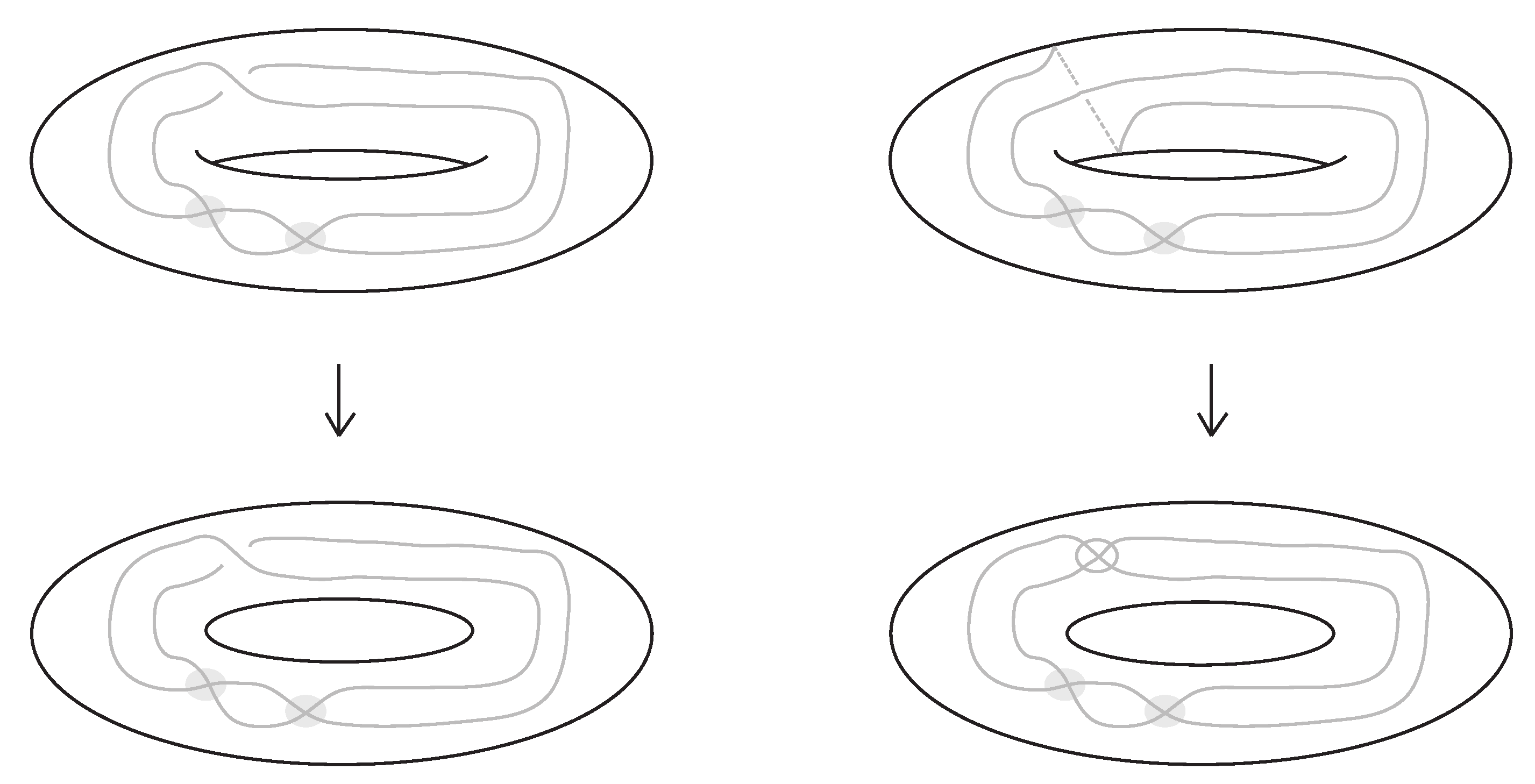 Symmetry 16 01360 g019