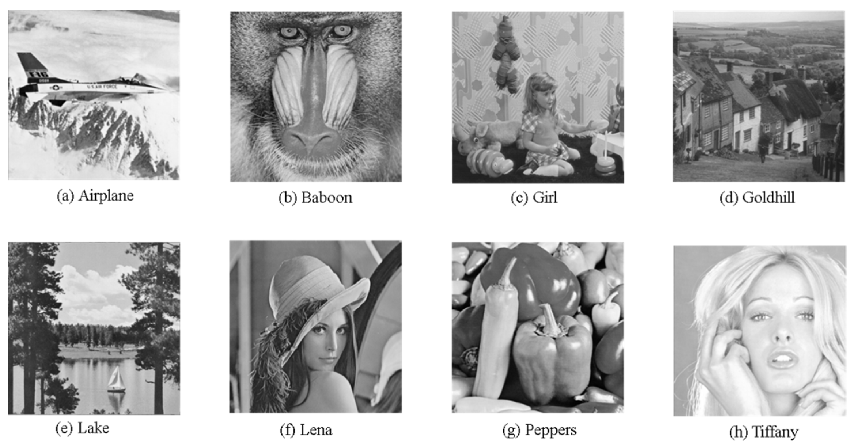 Symmetry 16 01634 g013