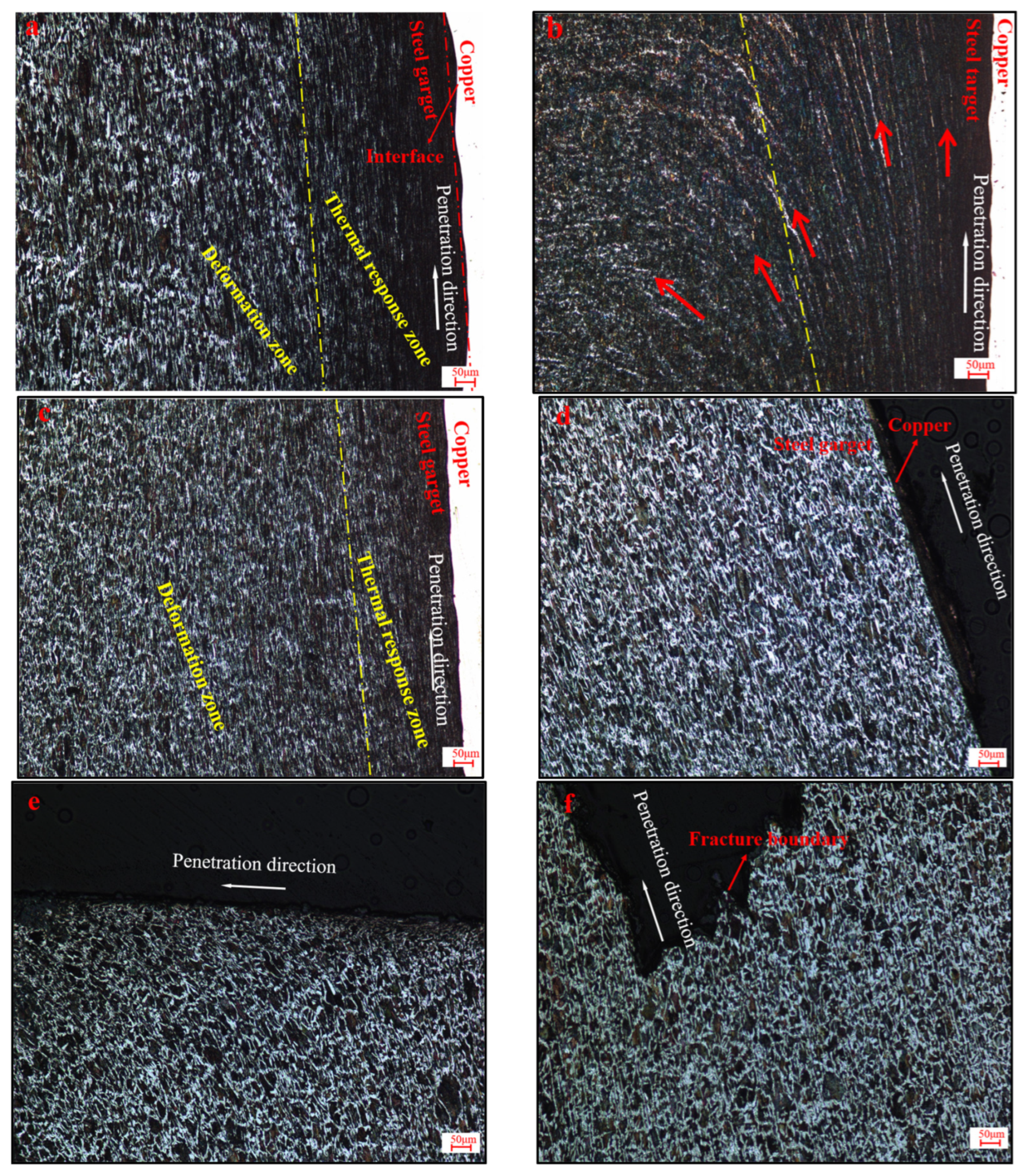 Symmetry 16 01665 g005 Symmetry 16 01665 g005