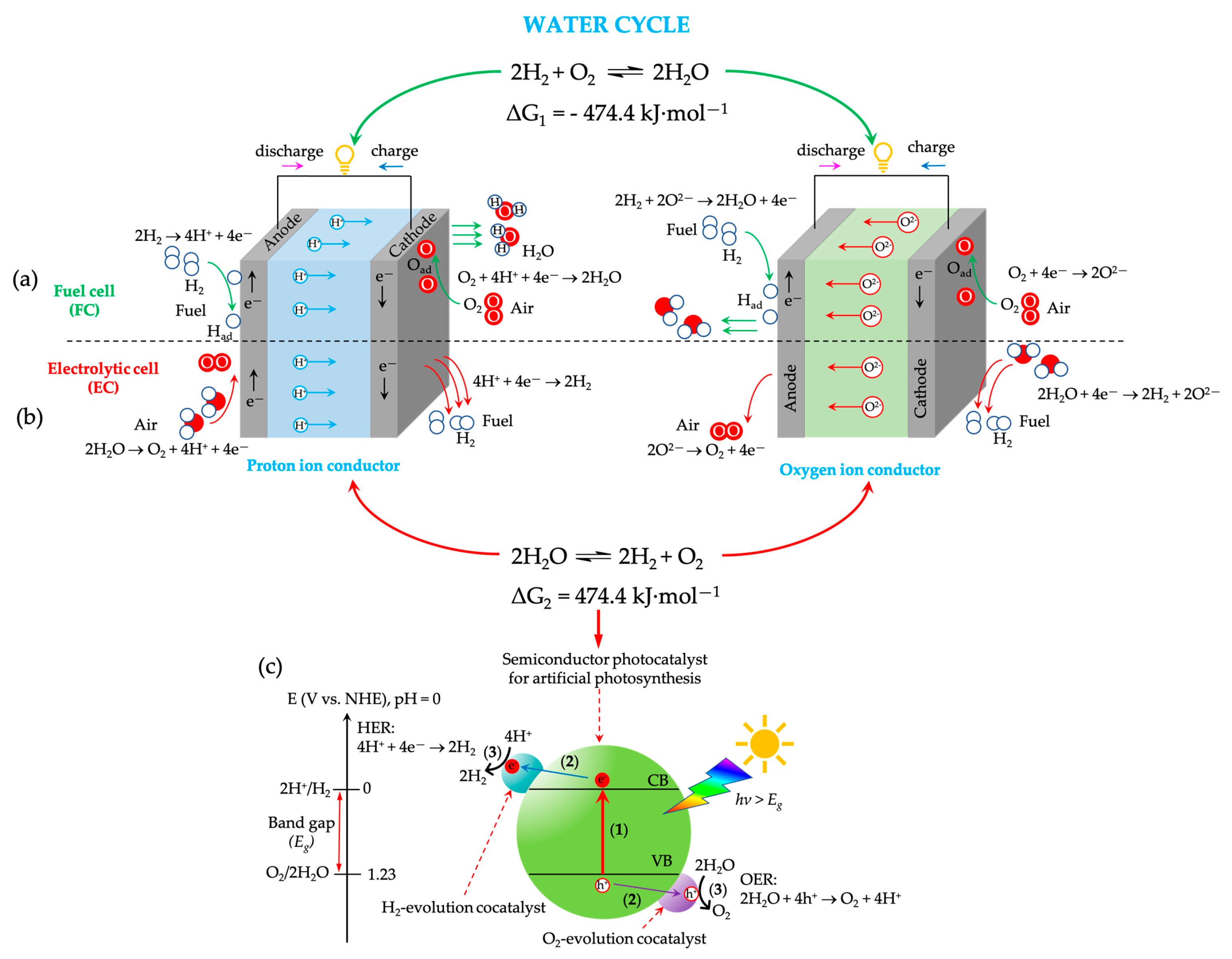 Symmetry 16 01699 g001