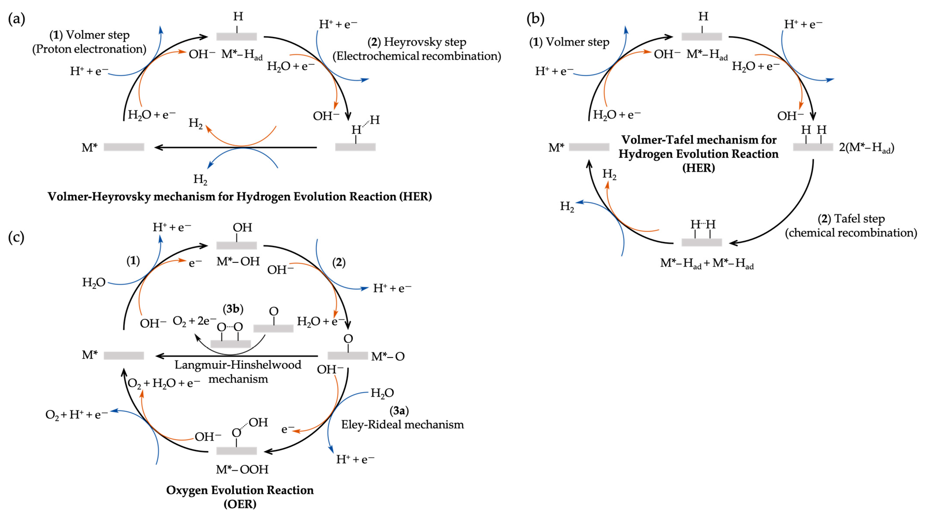 Symmetry 16 01699 g002