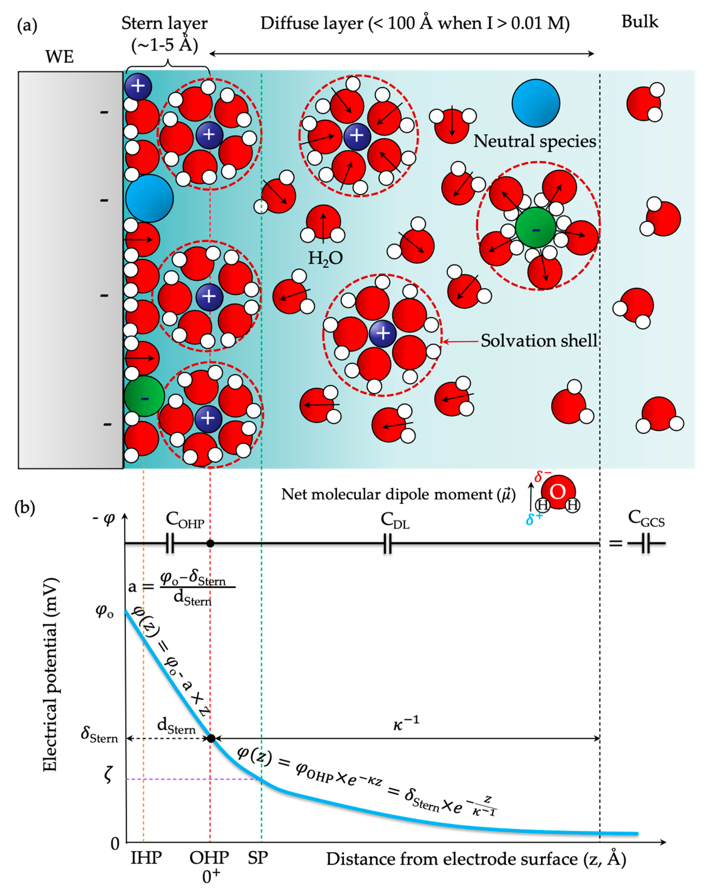 Symmetry 16 01699 g003
