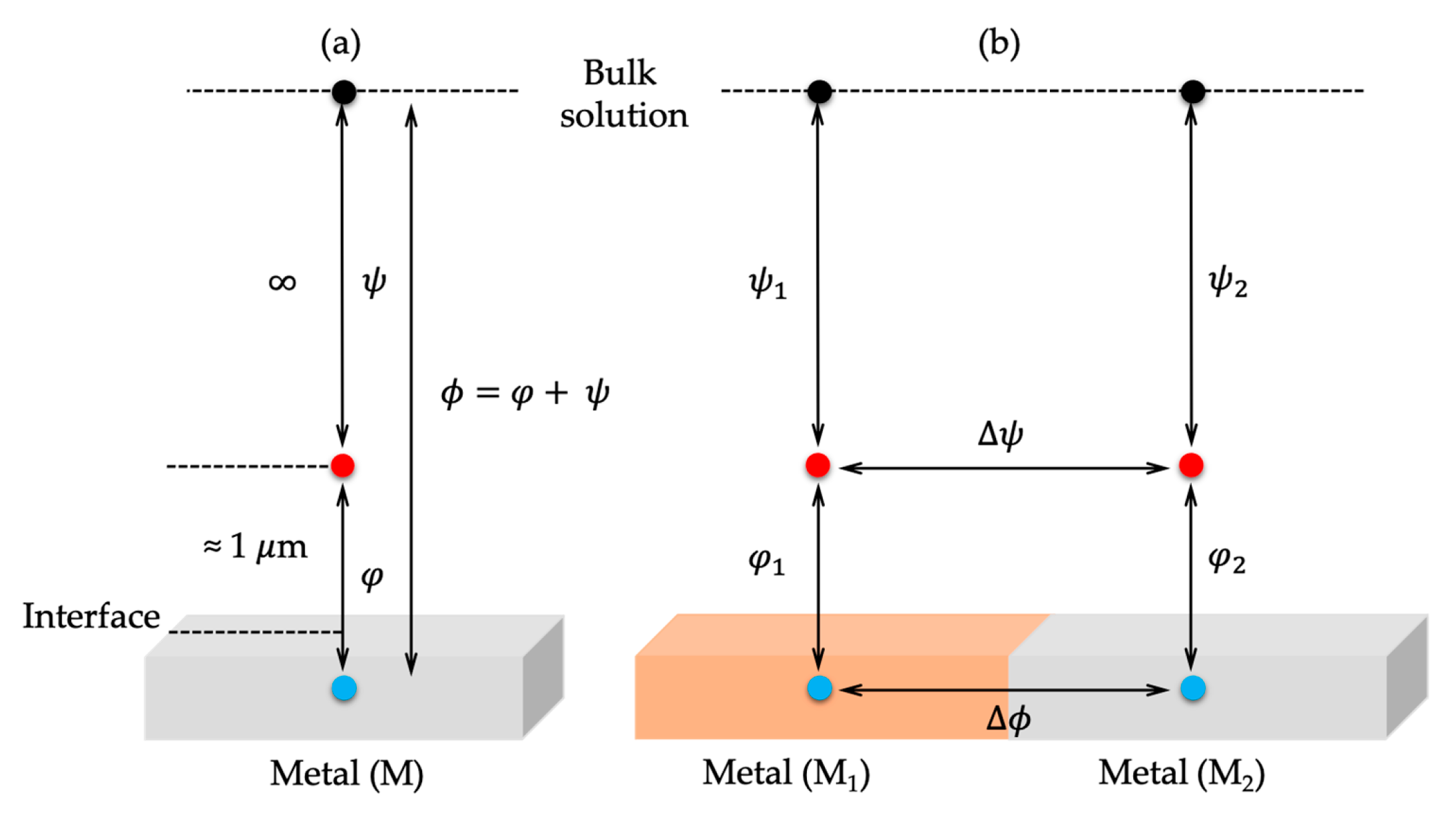 Symmetry 16 01699 g004