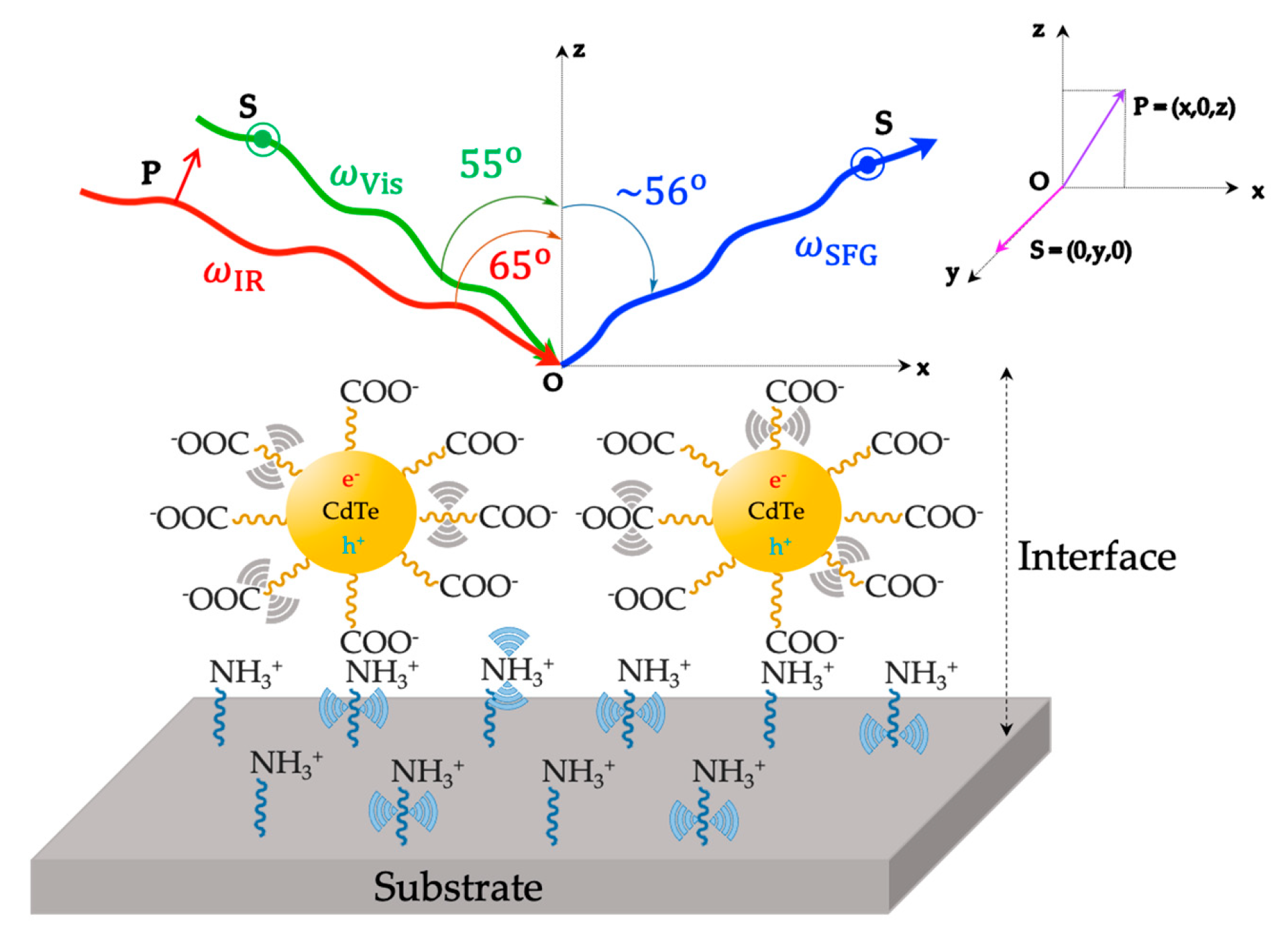 Symmetry 16 01699 g006