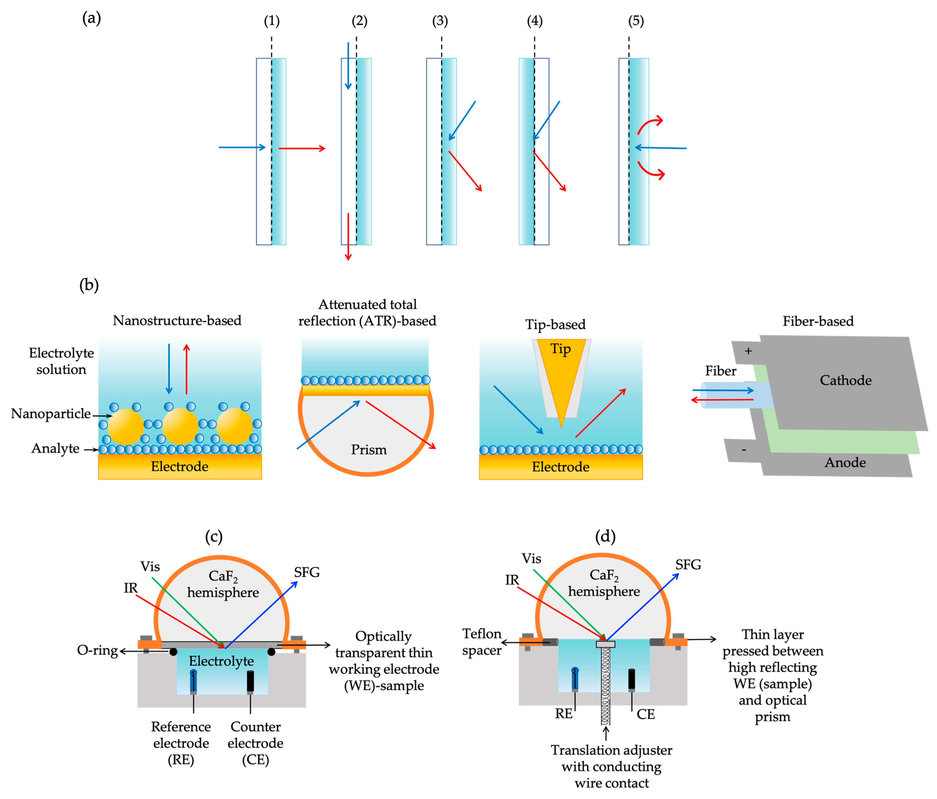Symmetry 16 01699 g010