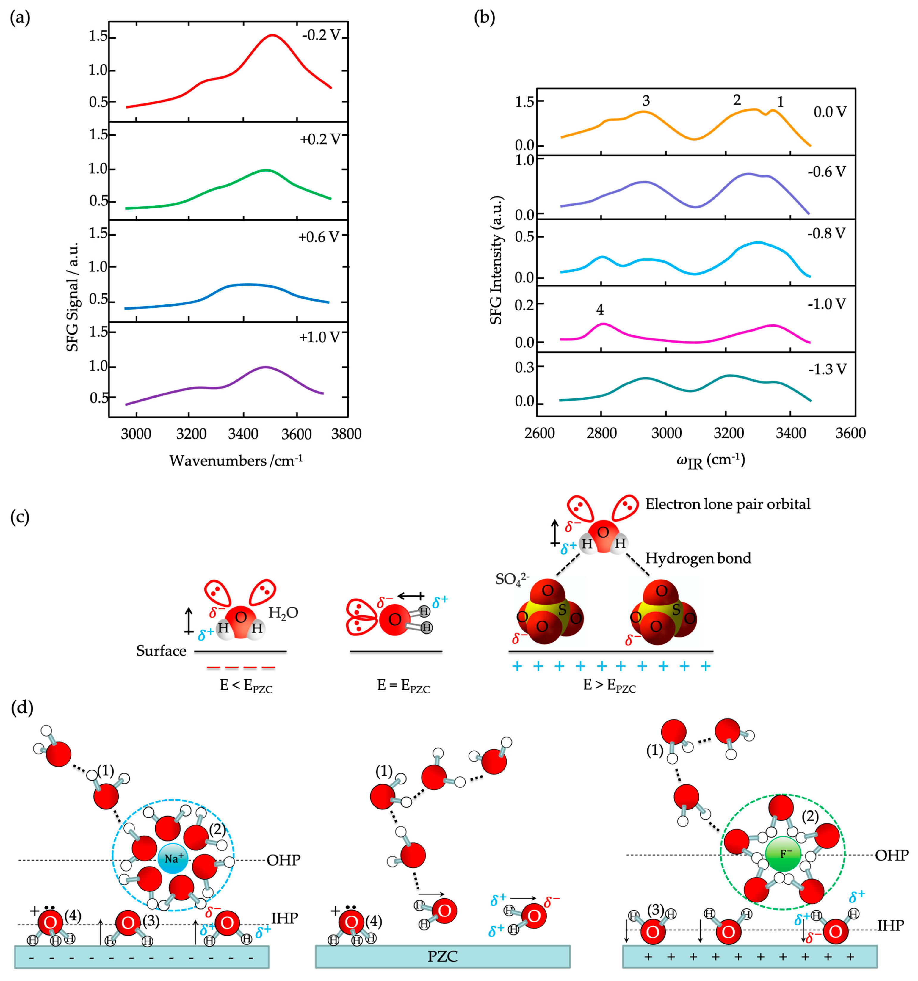 Symmetry 16 01699 g014