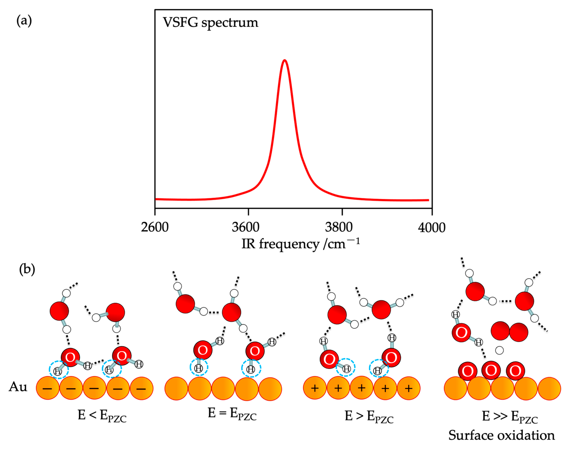 Symmetry 16 01699 g017