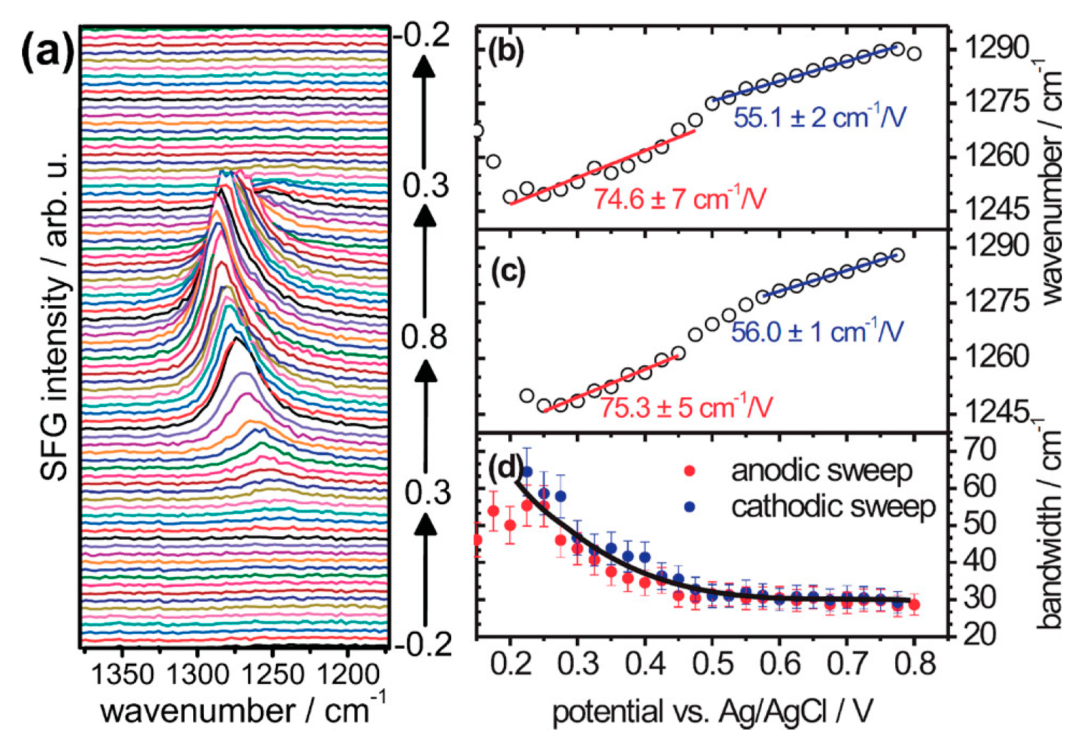 Symmetry 16 01699 g019