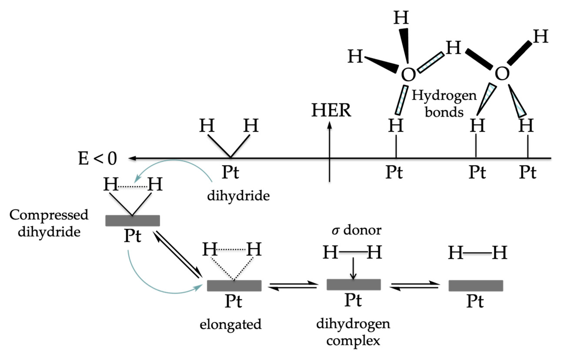 Symmetry 16 01699 g020