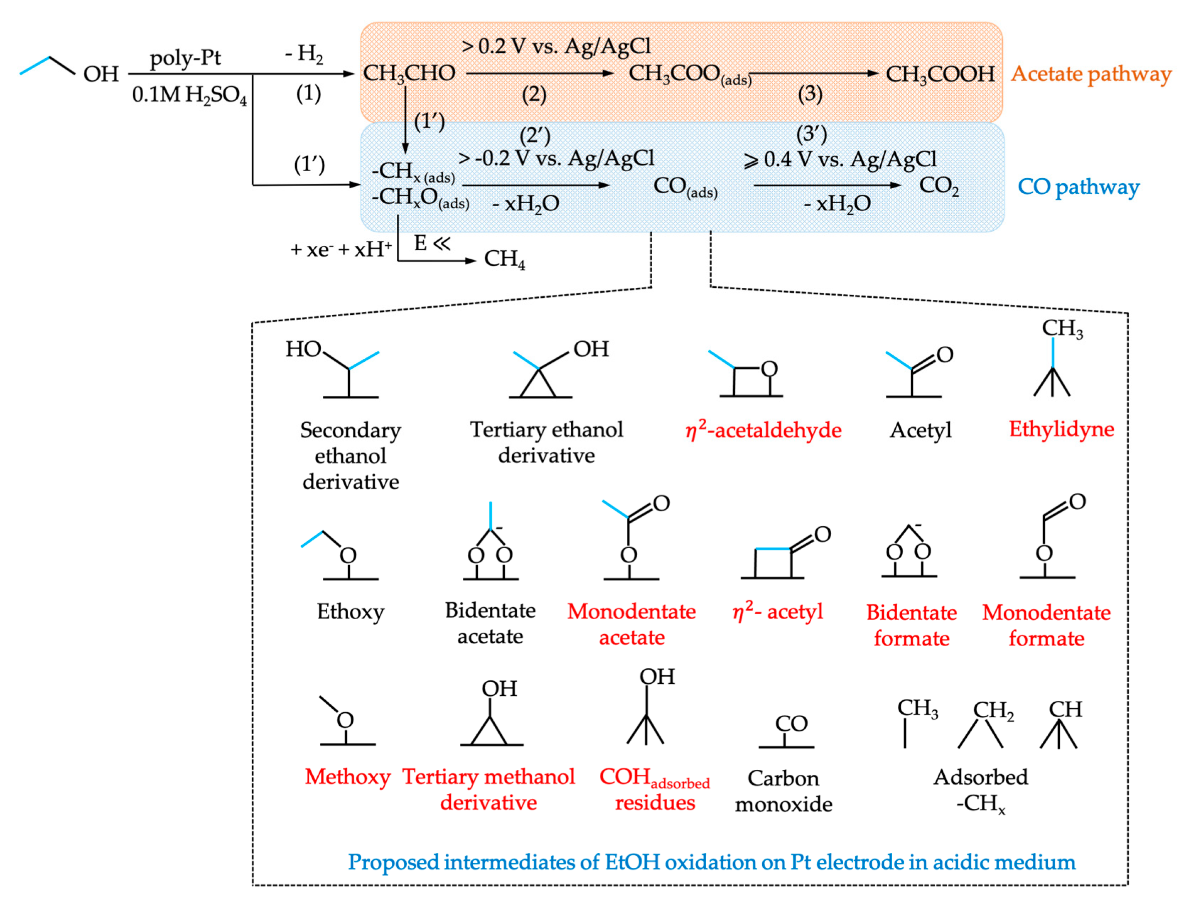 Symmetry 16 01699 g022