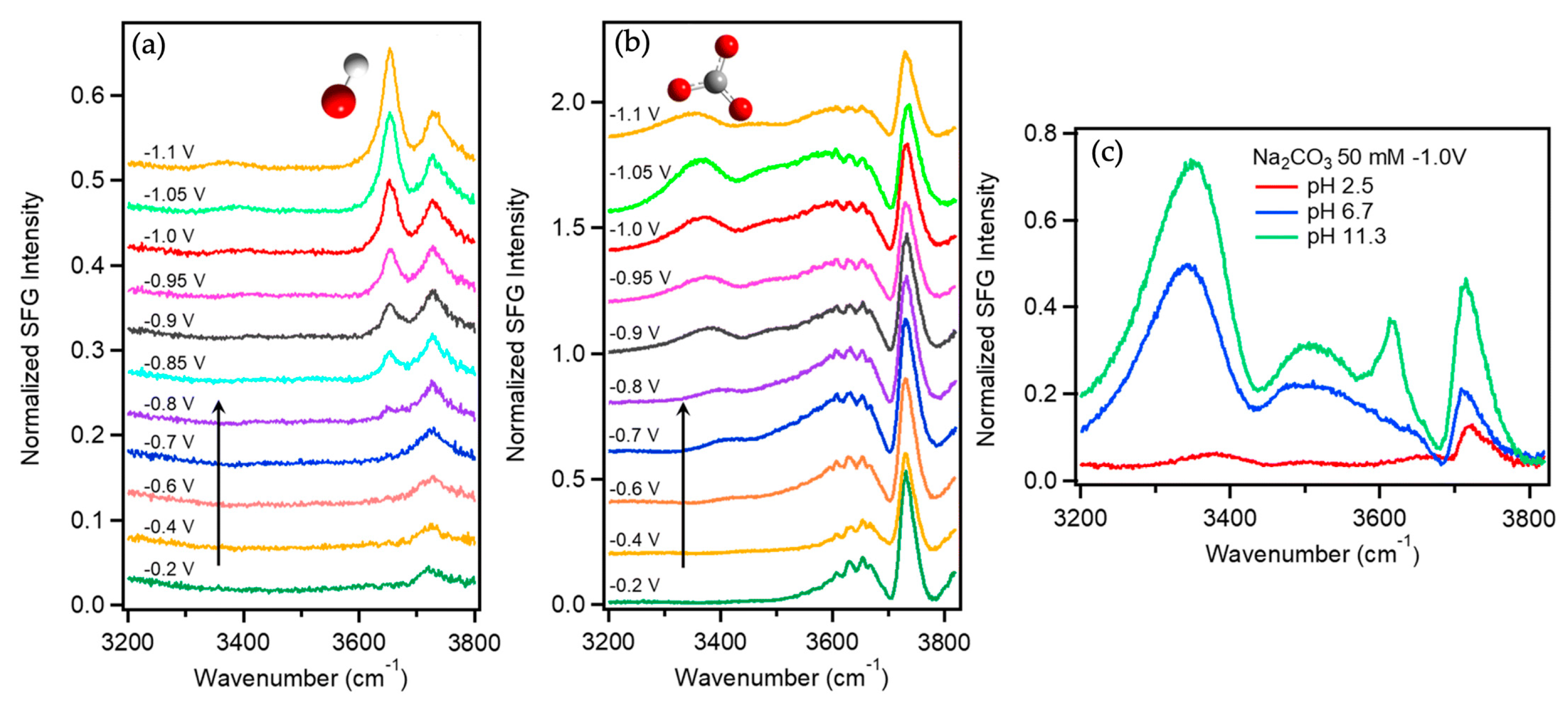Symmetry 16 01699 g023