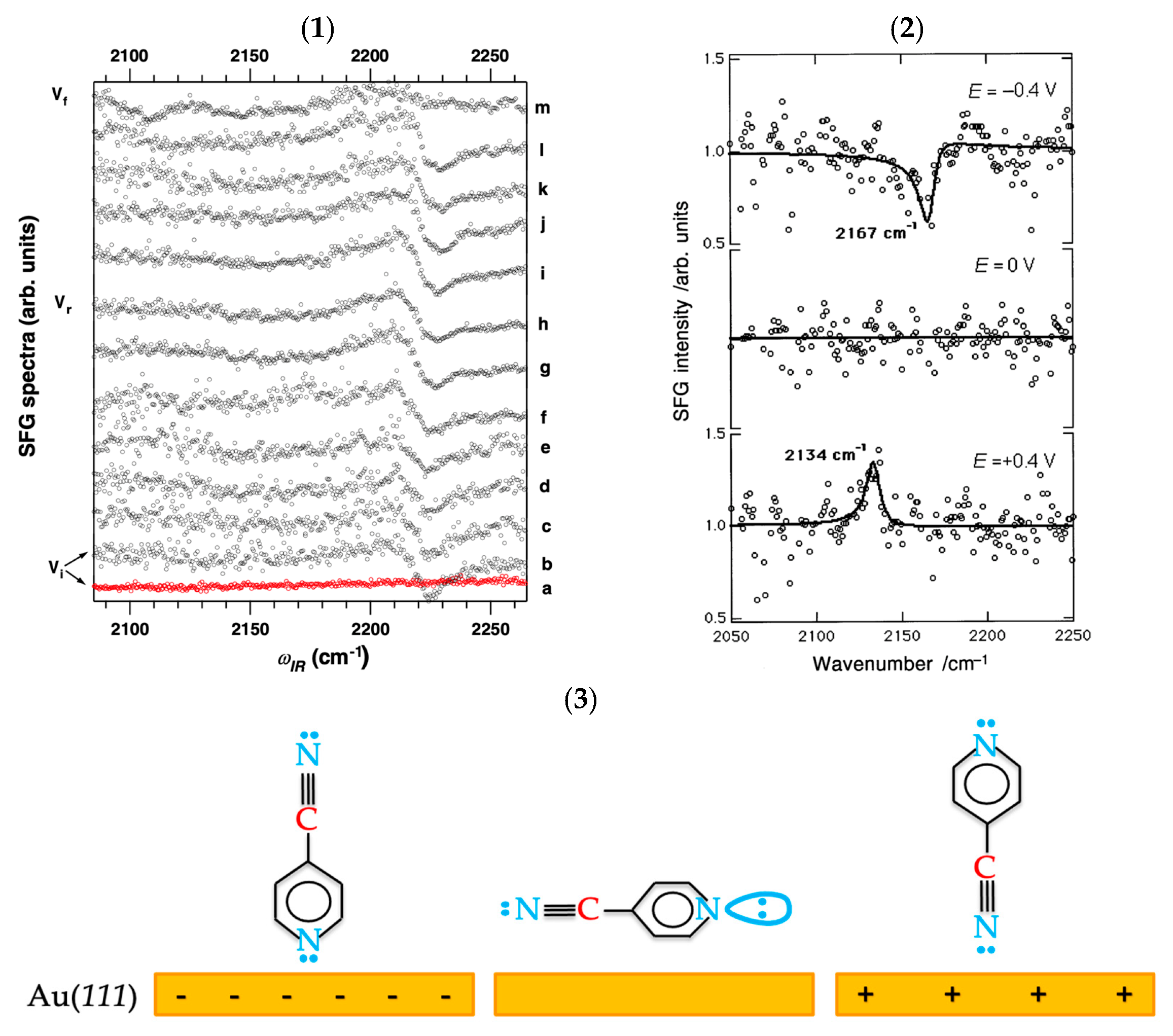 Symmetry 16 01699 g024