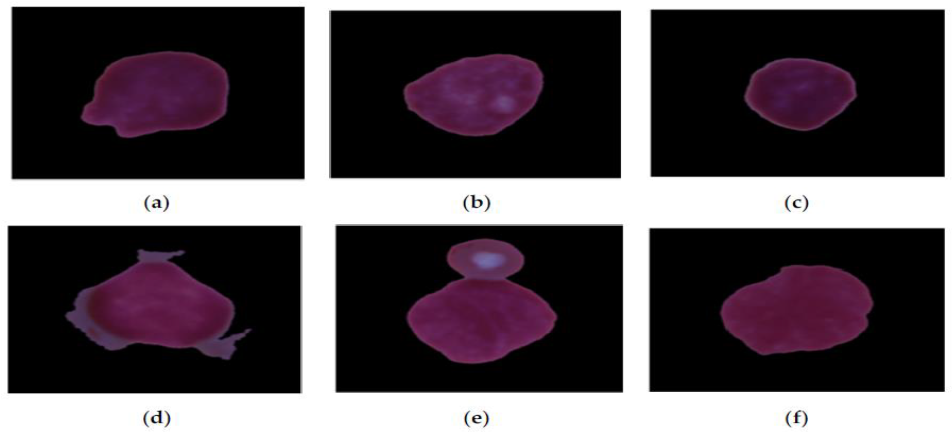 Symmetry 17 00024 g001