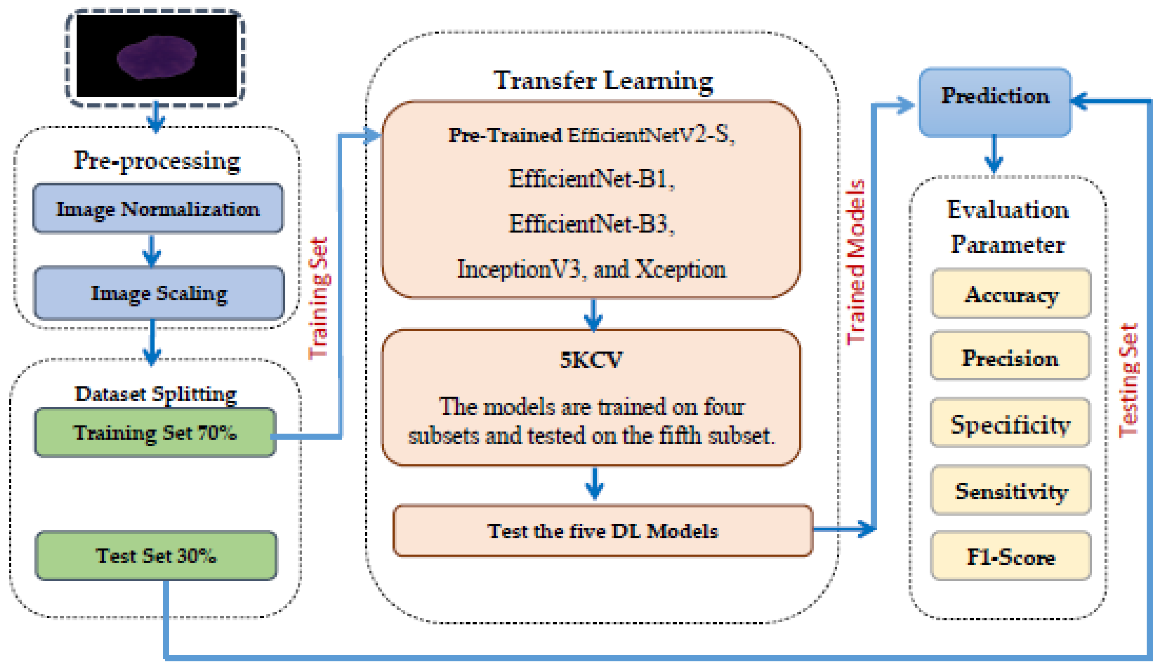Symmetry 17 00024 g002