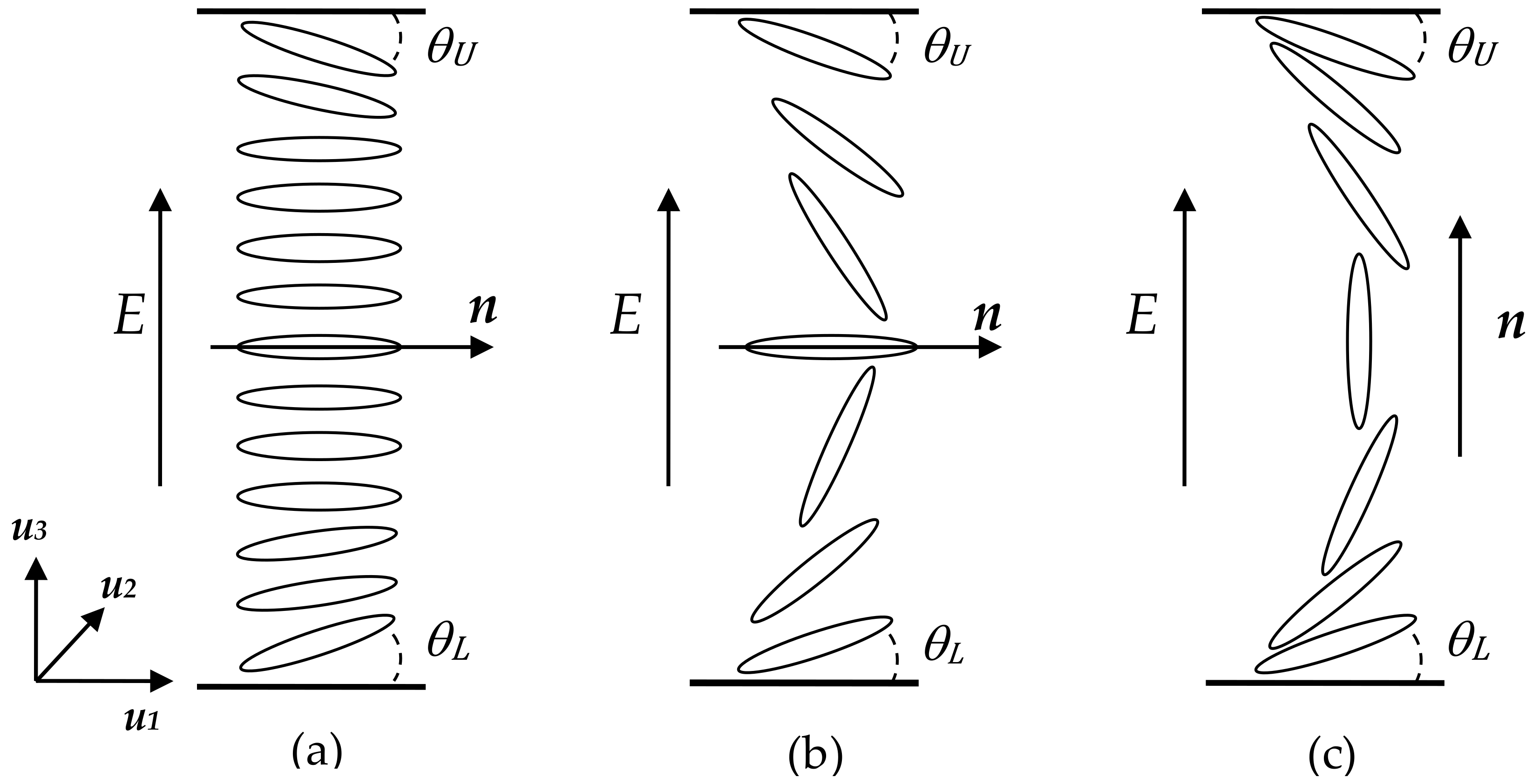 Symmetry 17 00030 g001