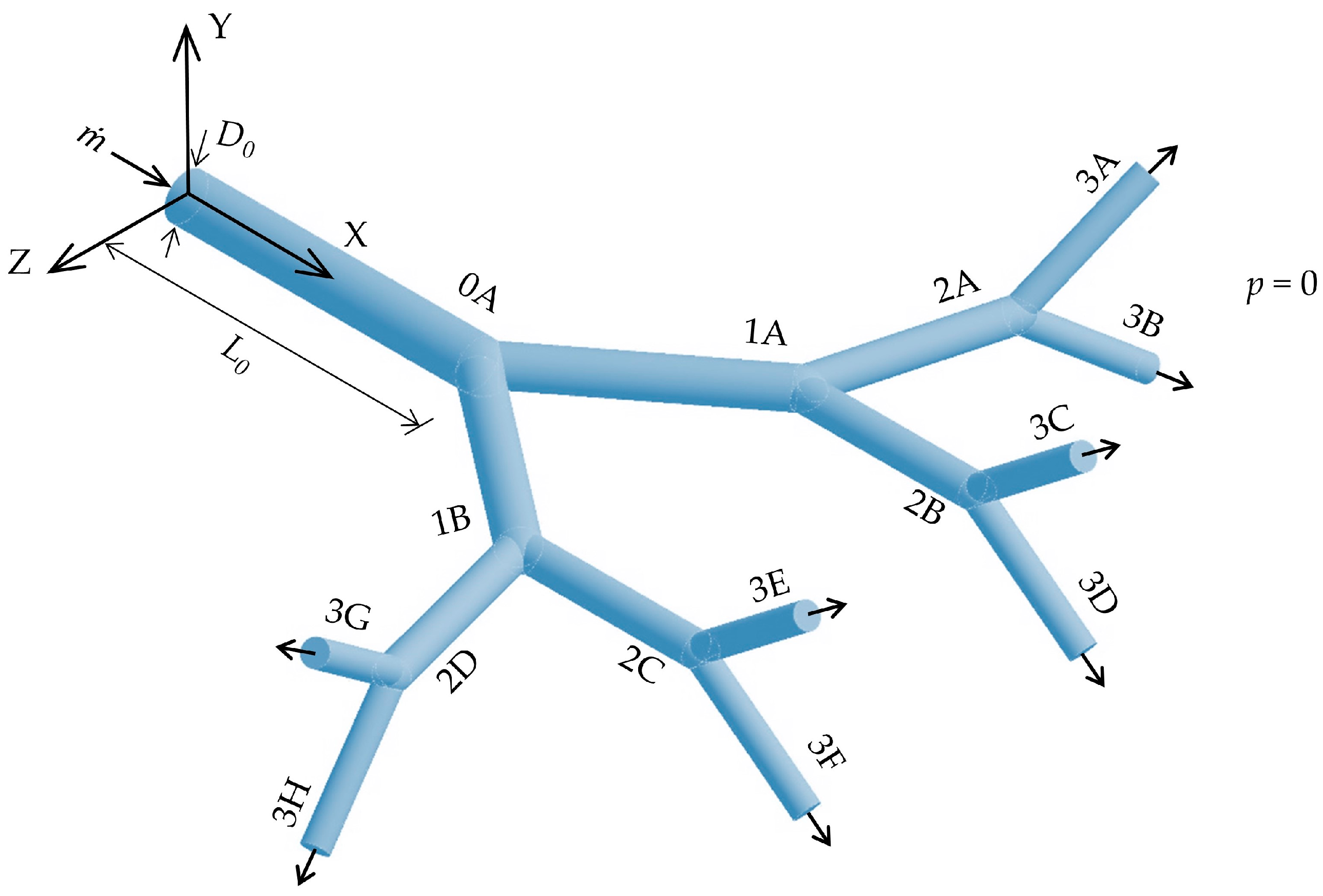Symmetry 17 00048 g001