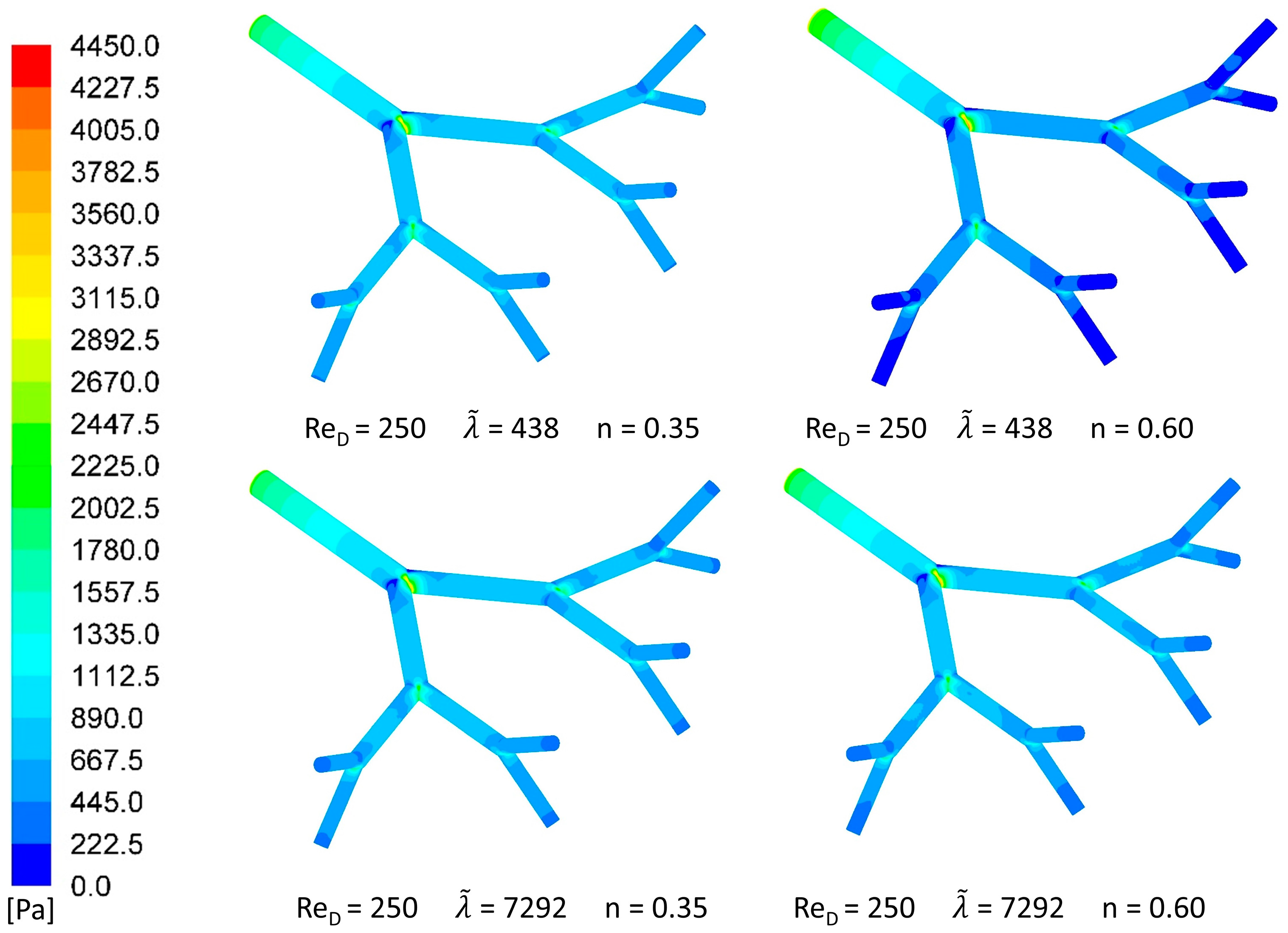 Symmetry 17 00048 g002b
