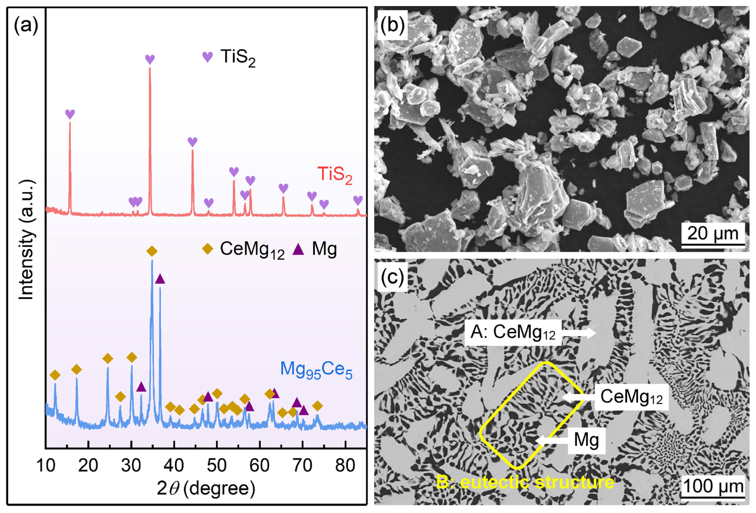 Symmetry 17 00071 g001
