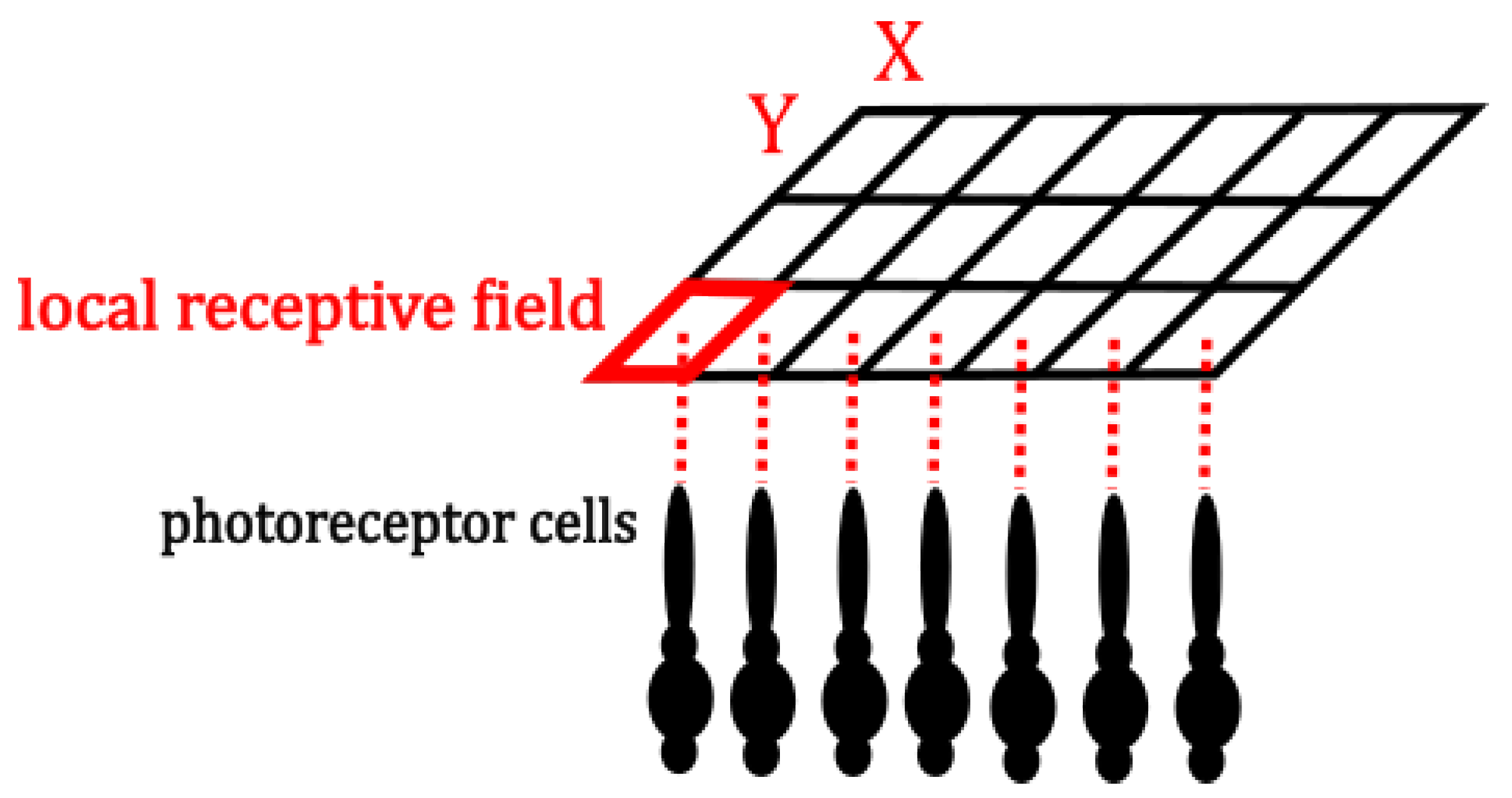 Symmetry 17 00162 g003