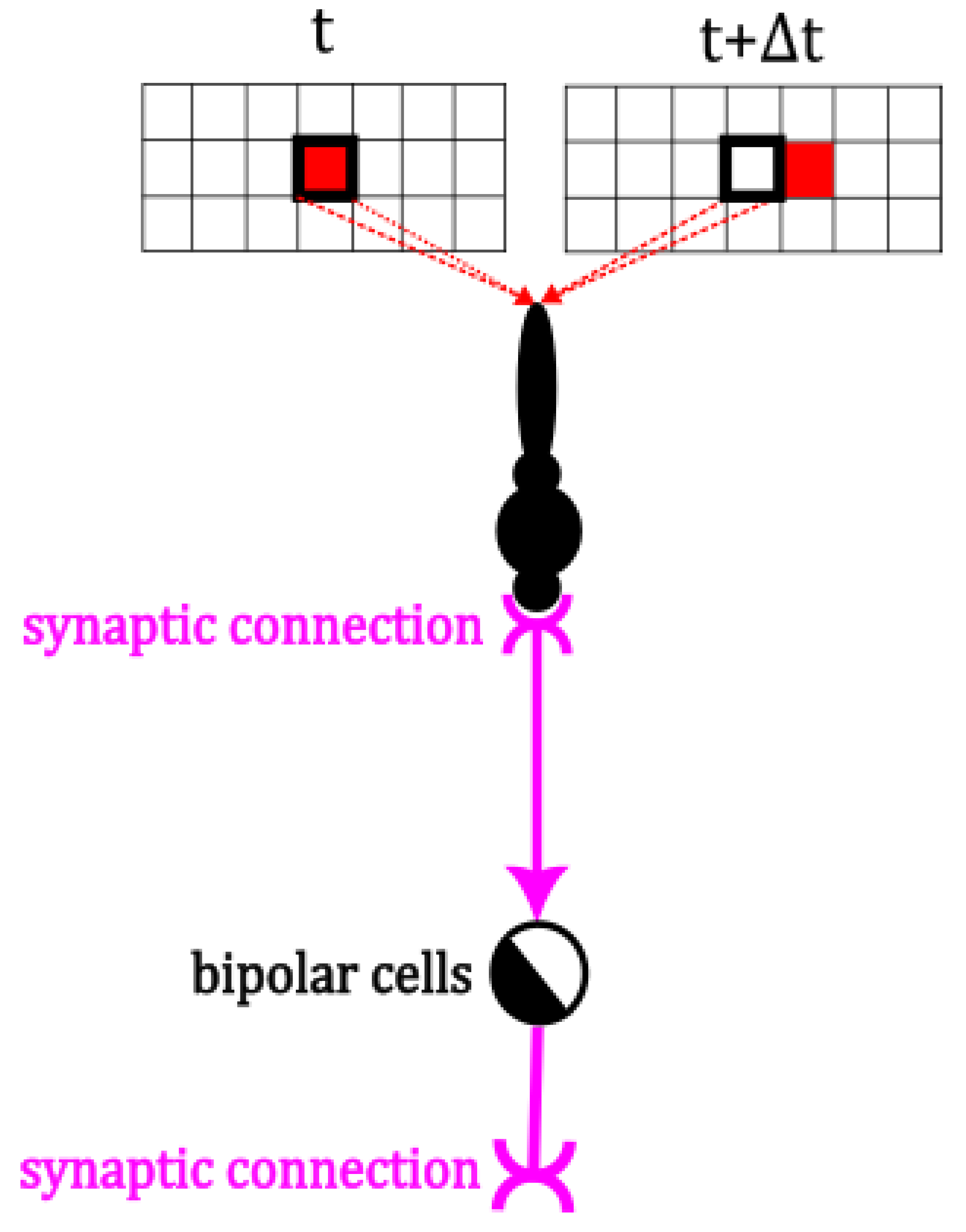 Symmetry 17 00162 g005